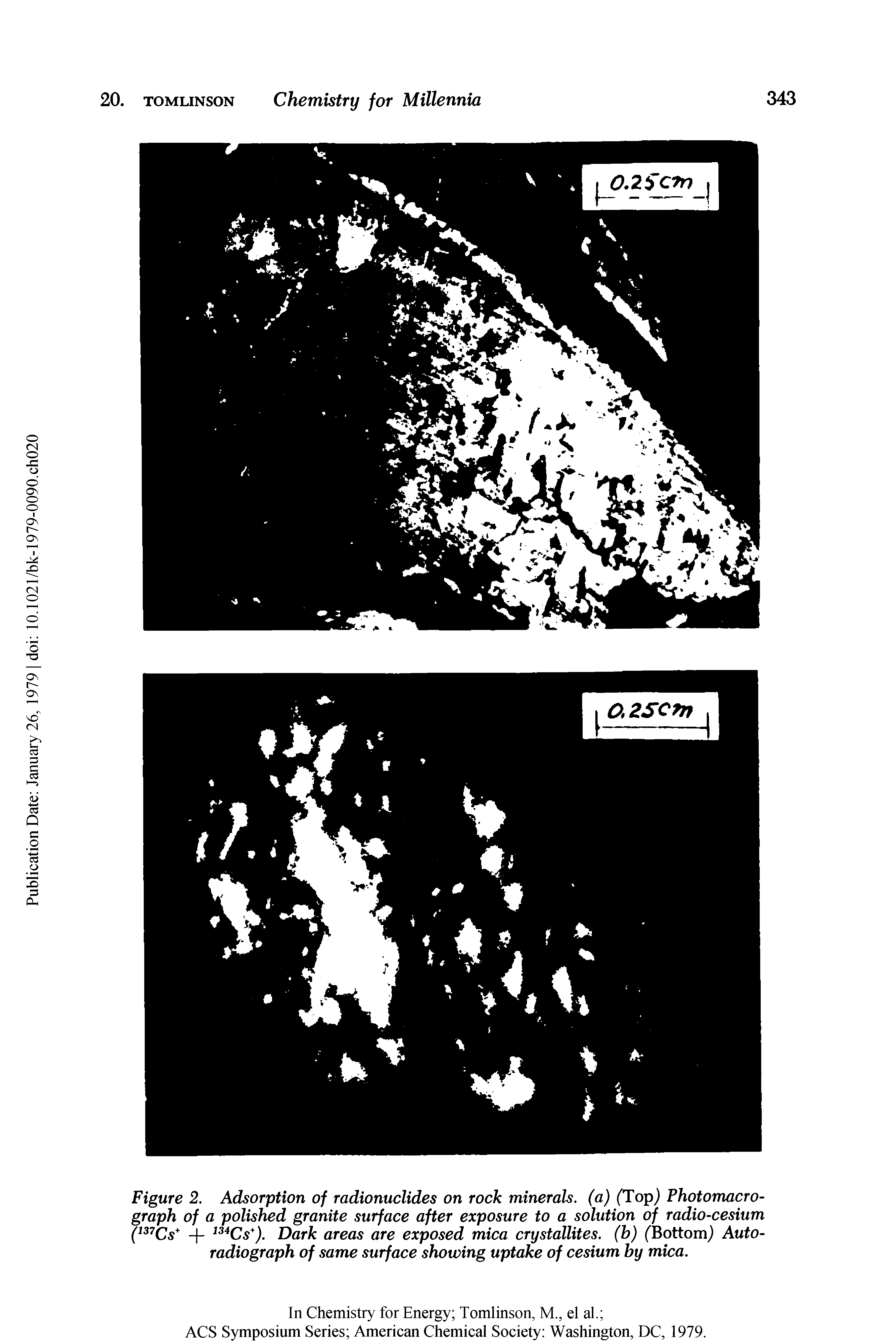 Figure 2. Adsorption of radionuclides on rock minerals, (a) (Topj Photomacrograph of a polished granite surface after exposure to a solution of radio-cesium Dark areas are exposed mica crystallites, (b) (Bottom) Autoradiograph of same surface showing uptake of cesium by mica.