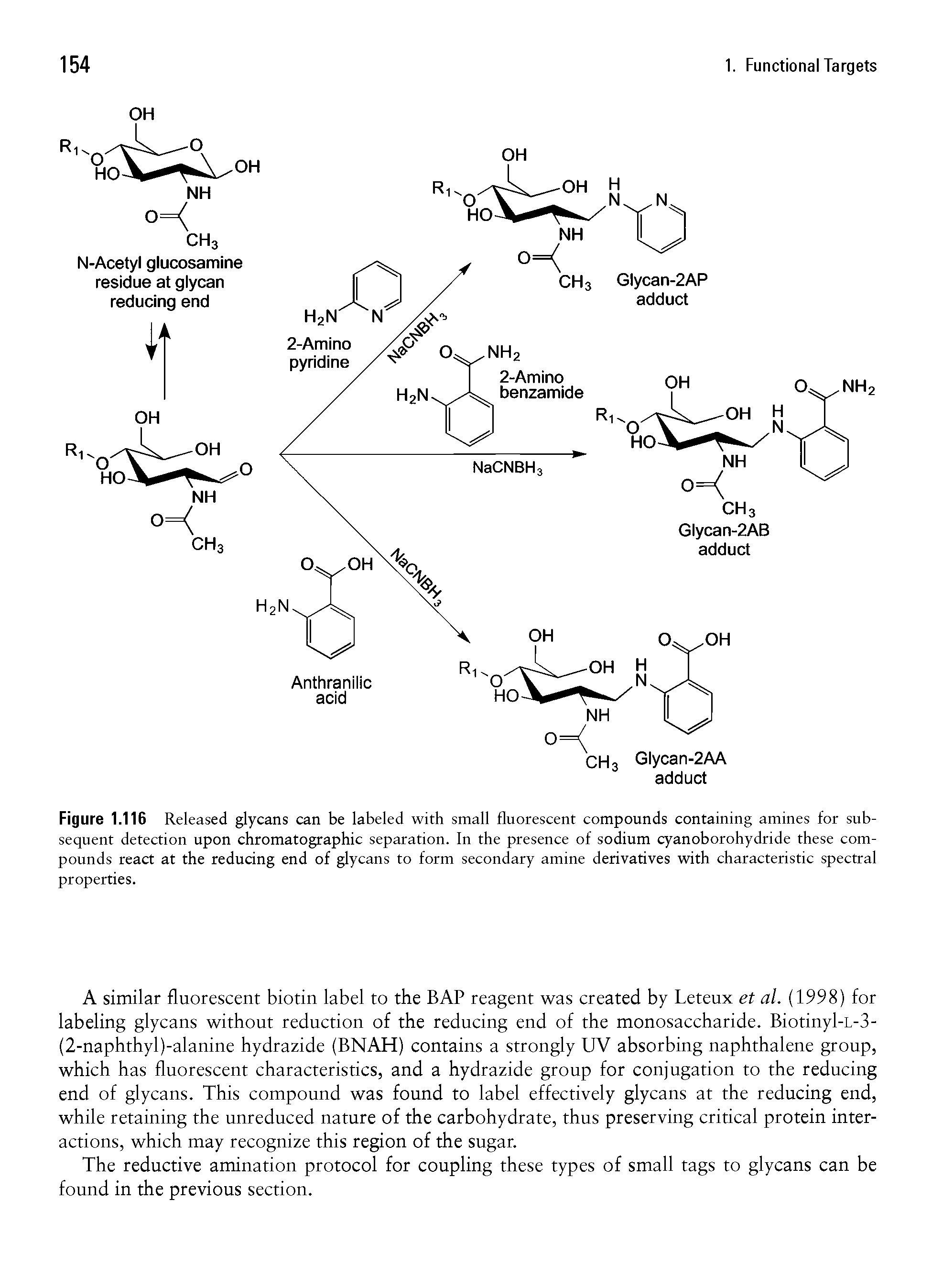 Figure 1.116 Released glycans can be labeled with small fluorescent compounds containing amines for subsequent detection upon chromatographic separation. In the presence of sodium cyanoborohydride these compounds react at the reducing end of glycans to form secondary amine derivatives with characteristic spectral properties.