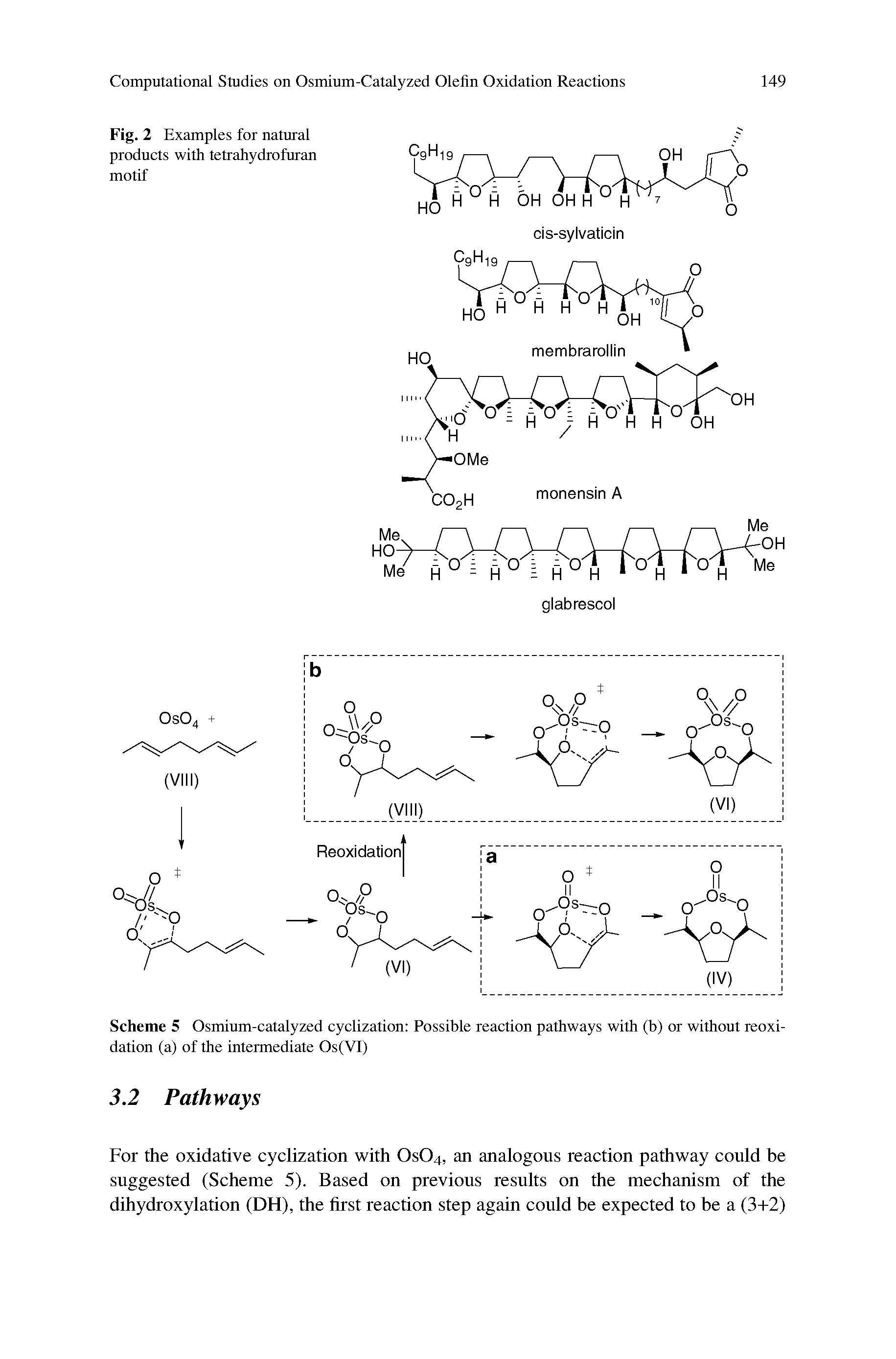 Fig. 2 Examples for natural products with tetrahydrofuran motif...