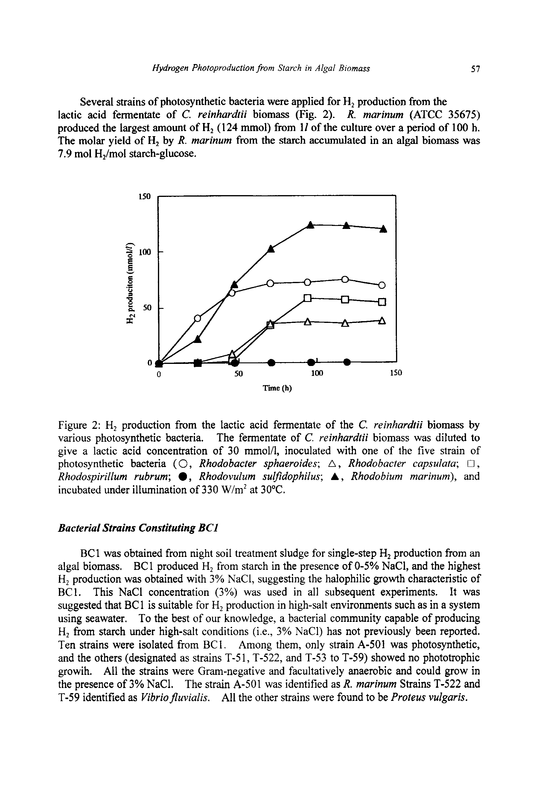 Figure 2 H2 production from the lactic acid fermentate of the C. reinhardtii biomass by various photosynthetic bacteria. The fermentate of C. reinhardtii biomass was diluted to give a lactic acid concentration of 30 mmol/1, inoculated with one of the five strain of photosynthetic bacteria (O, Rhodobacter sphaeroides A, Rhodobacter capsulata , Rhodospirillum rubrum 9, Rhodovulum sulfidophilus , Rhodobium marinum), and incubated under illumination of 330 W/m2 at 30°C.