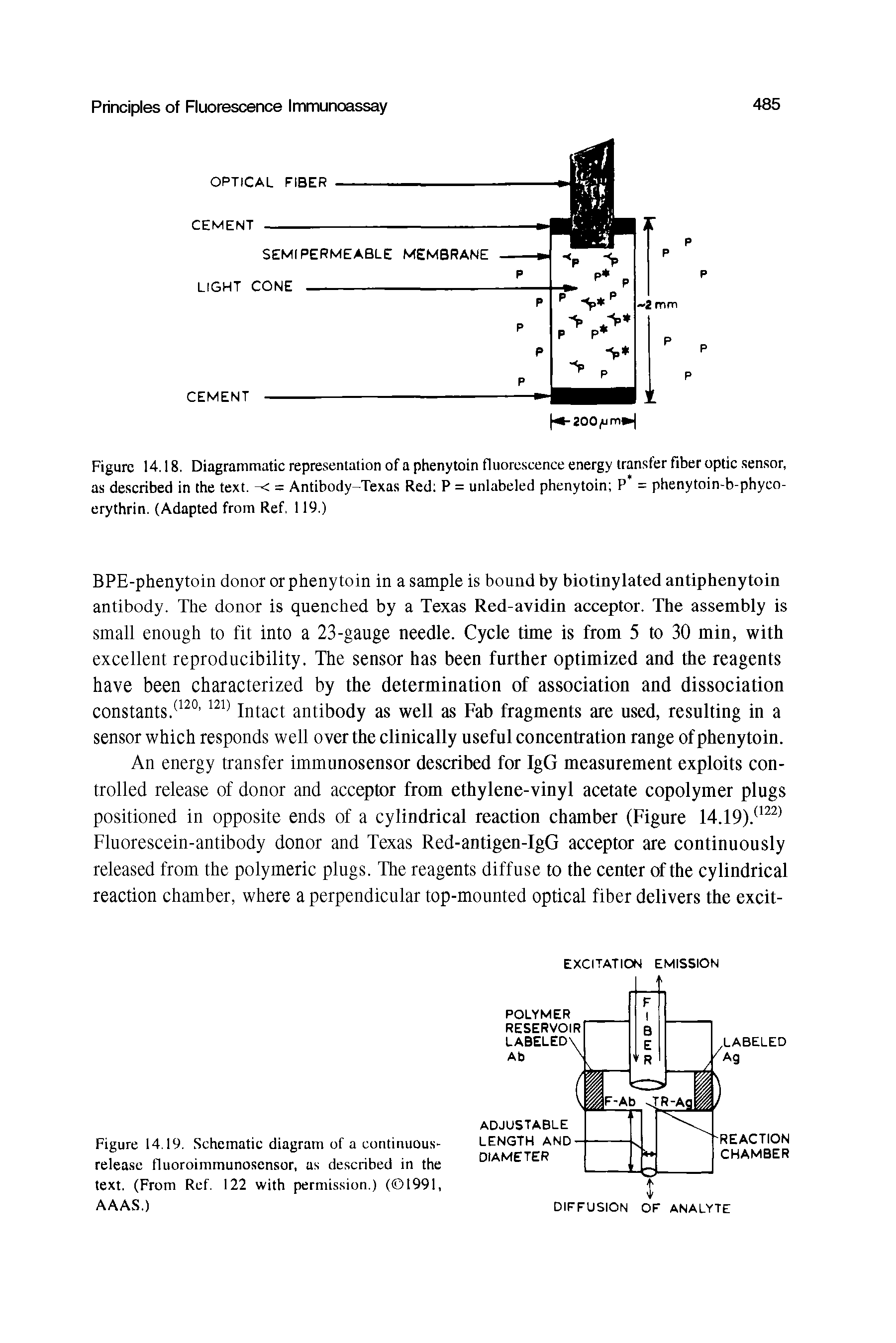 Figure 14.18. Diagrammatic representation of a phenytoin fluorescence energy transfer fiber optic sensor, as described in the text. -< = Antibody-Texas Red P = unlabeled phenytoin P = phenytoin-b-phyco-erythrin. (Adapted from Ref, 119.)...