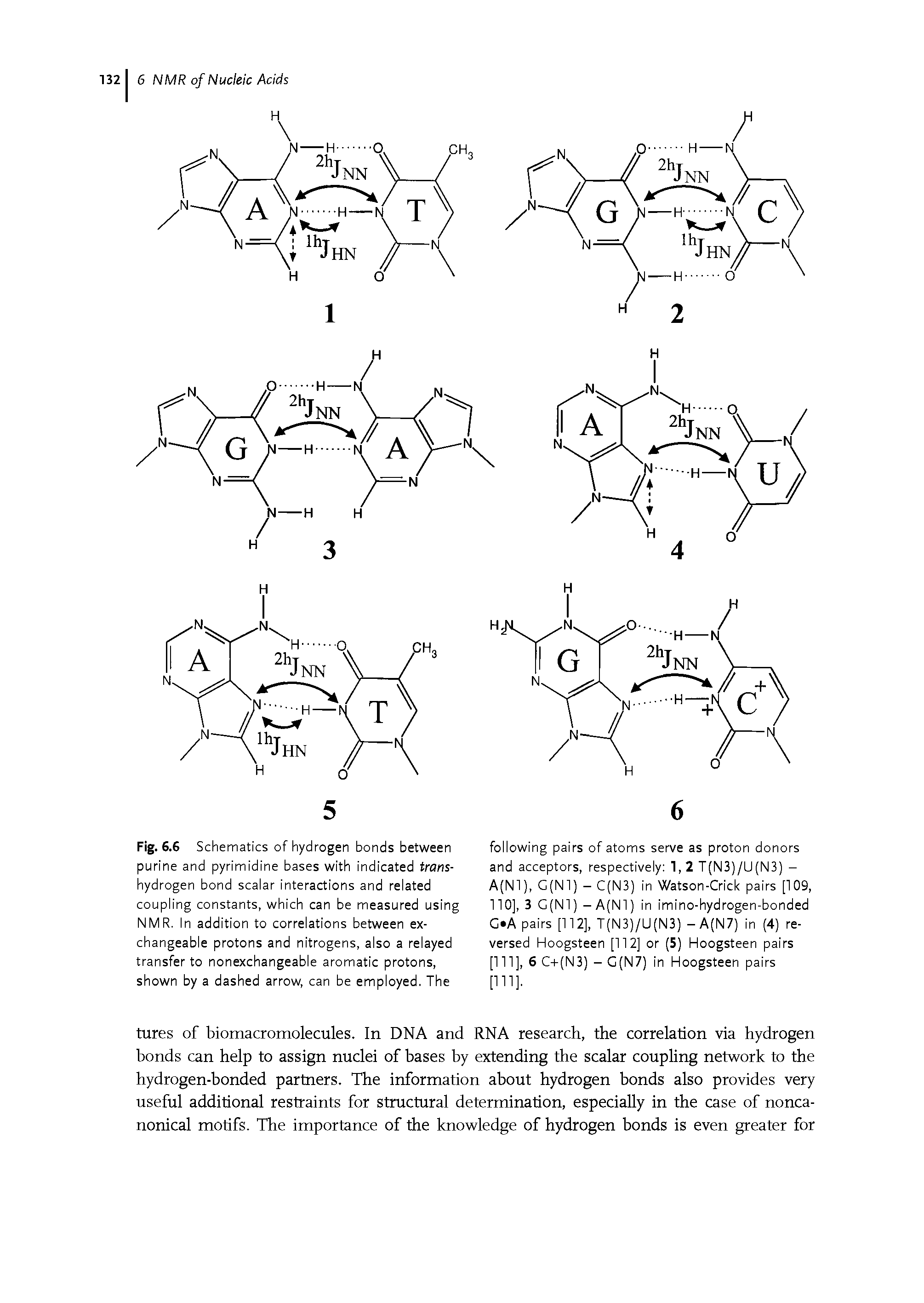 Fig. 6.6 Schematics of hydrogen bonds between purine and pyrimidine bases with indicated trans-hydrogen bond scalar interactions and related coupling constants, which can be measured using NMR. In addition to correlations between exchangeable protons and nitrogens, also a relayed transfer to nonexchangeable aromatic protons, shown by a dashed arrow, can be employed. The...