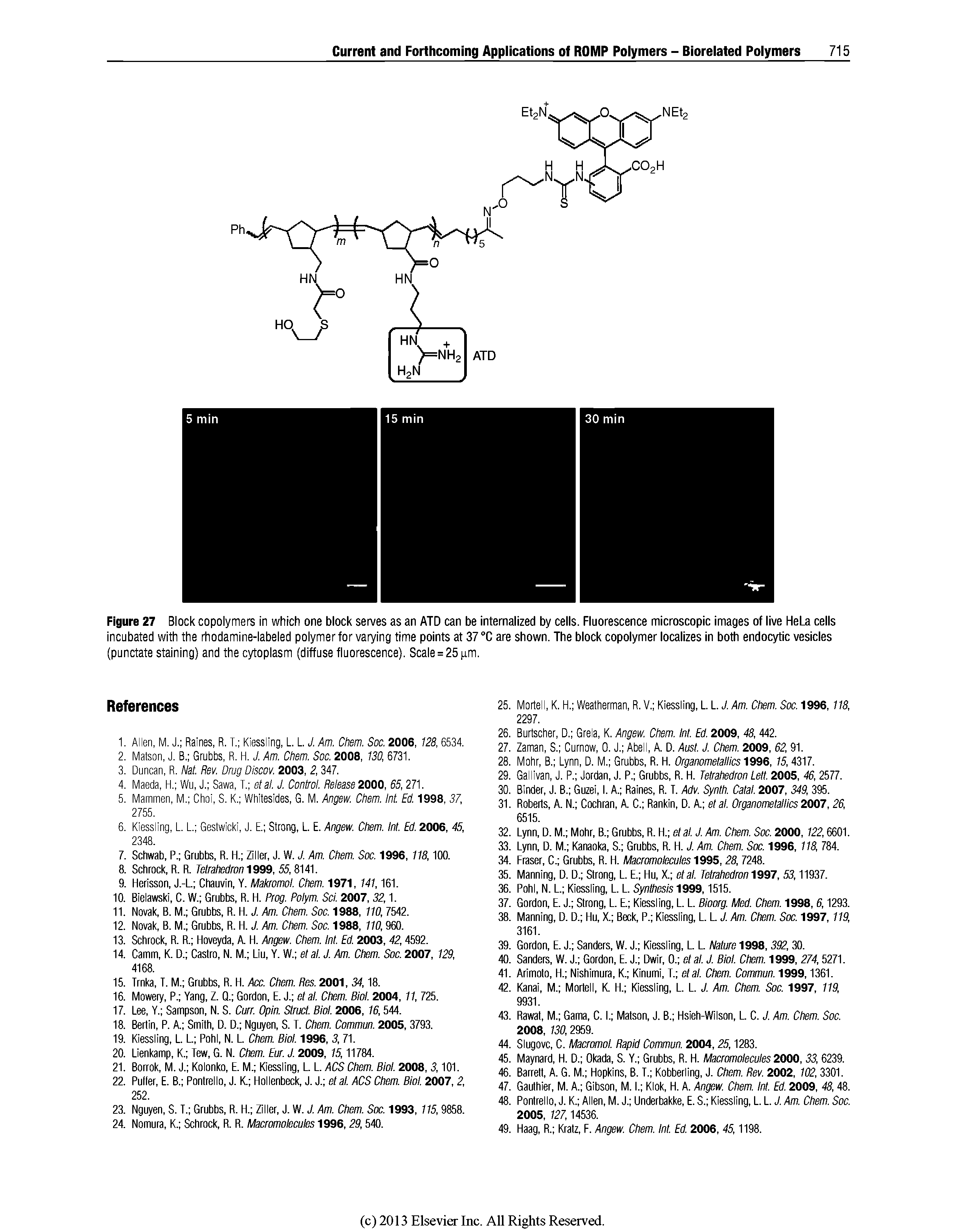 Figure 27 Block copolymers In which one block serves as an AID can be internalized by cells. Fluorescence microscopic images of live HeLa cells incubated with the rhodamine-labeled polymer for varying time points at 37 °C are shown. The block copolymer localizes in both endocytic vesicles (punctate staining) and the cytoplasm (diffuse fluorescence). Scale = 25 pm.