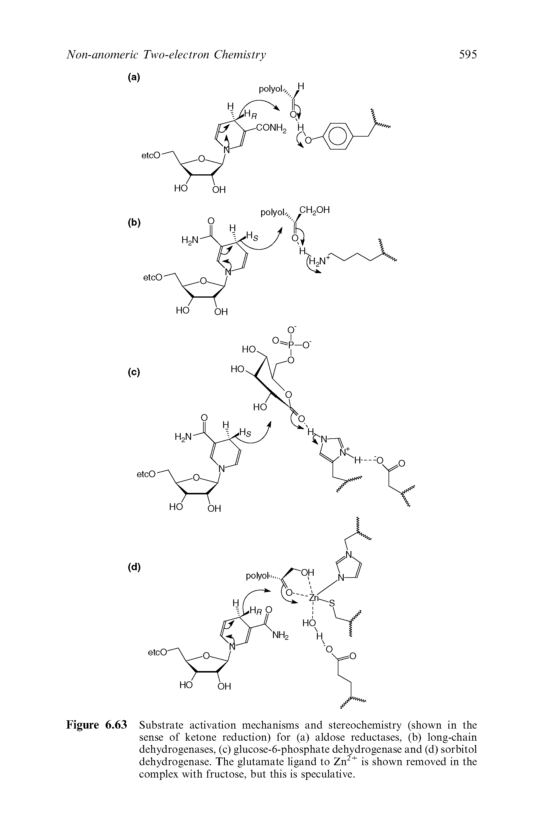 Figure 6.63 Substrate activation mechanisms and stereochemistry (shown in the sense of ketone reduction) for (a) aldose reductases, (b) long-chain dehydrogenases, (c) glucose-6-phosphate dehydrogenase and (d) sorbitol dehydrogenase. The glutamate ligand to Zn is shown removed in the complex with fructose, but this is speculative.