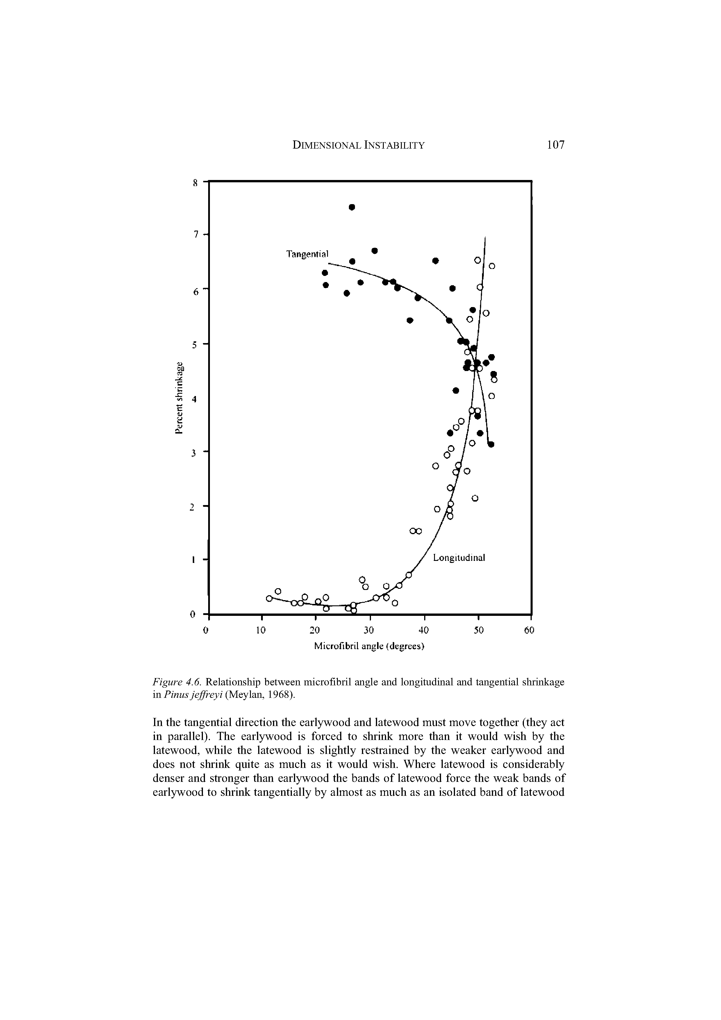 Figure 4.6. Relationship between microfibril angle and longitudinal and tangential shrinkage in Pinus jeffreyi (Meylan, 1968).