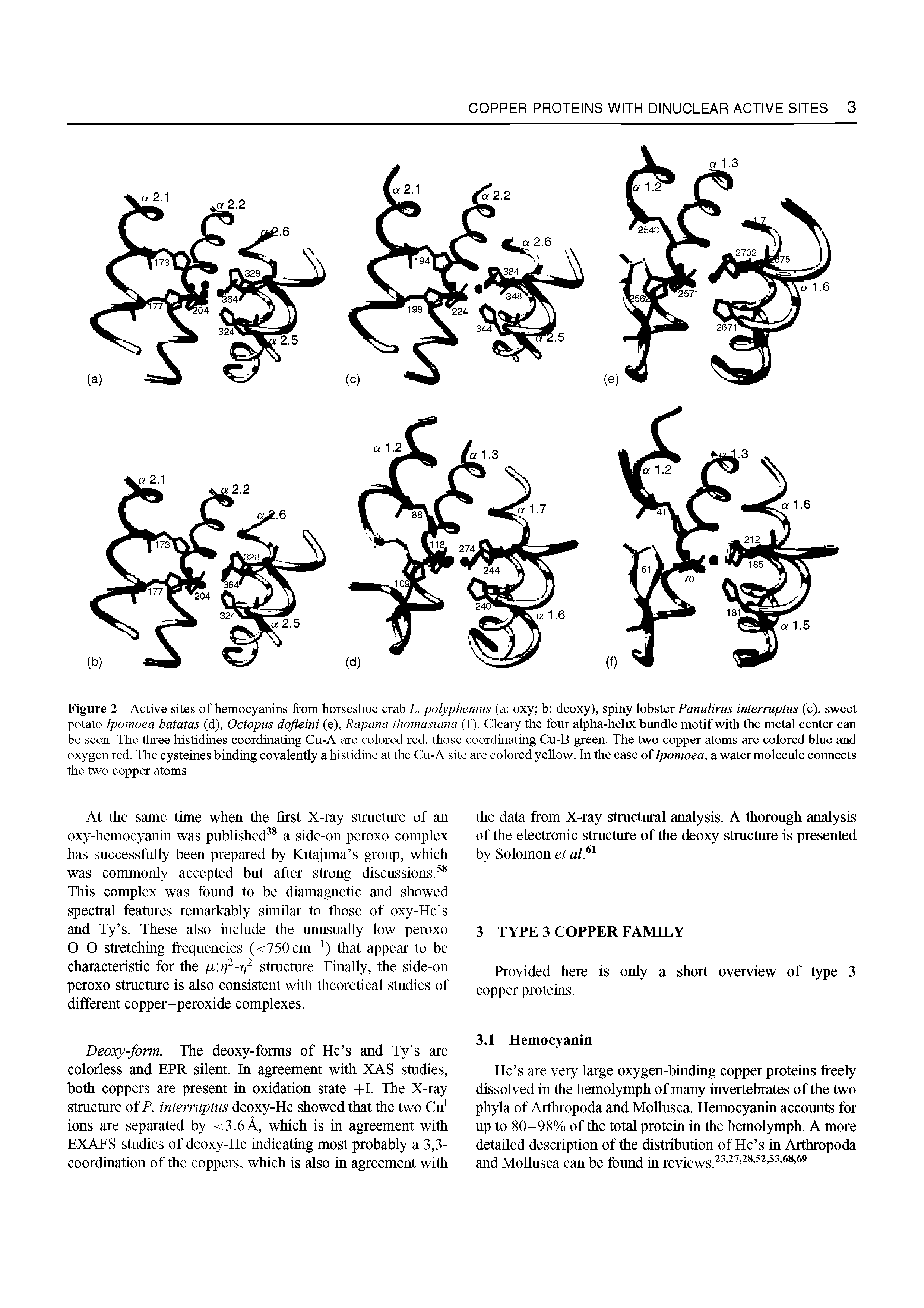 Figure 2 Active sites of hemocyanins from horseshoe crab L. polyphemus (a oxy b deoxy), spiny lobster Panulirus interruptus (c), sweet potato Ipomoea batatas (d), Octopus dofleini (e), Rapana thomasiana (f). Cleary the four alpha-helix bundle motif with the metal center can be seen. The three histidines coordinating Cu-A are colored red, those coordinating Cu-B green. The two copper atoms are colored blue and oxygen red. The cysteines binding covalently a histidine at the Cu-A site are colored yellow. In the case of Ipomoea, a water molecule connects the two copper atoms...