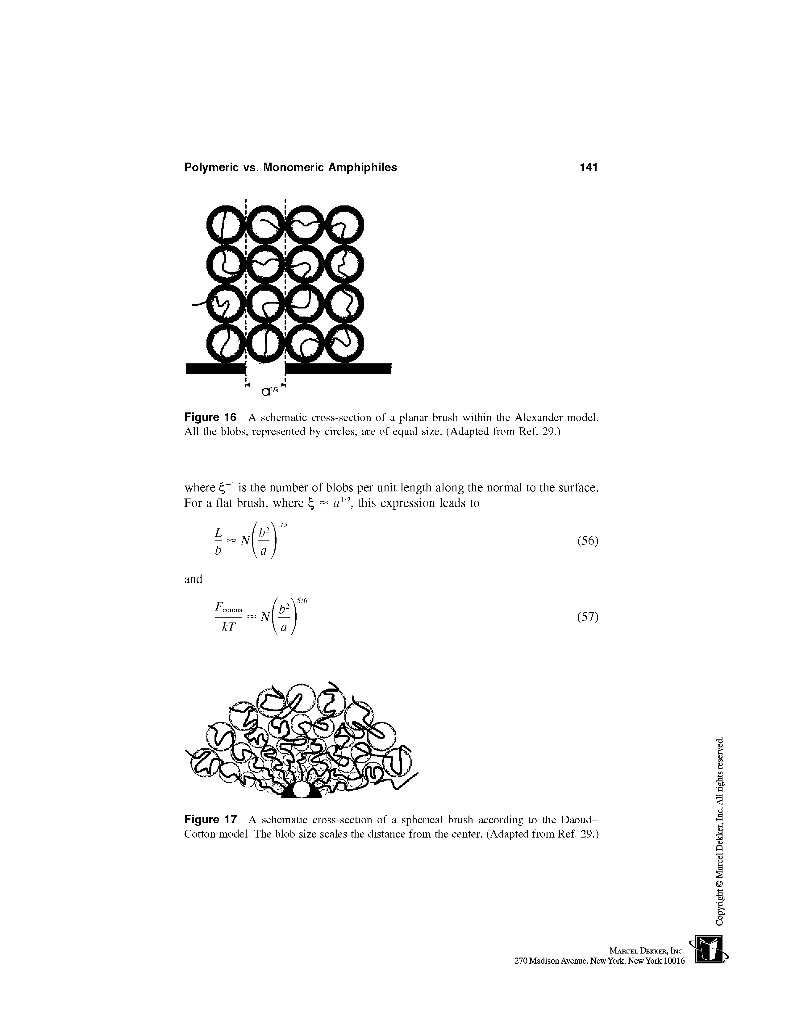 Figure 16 A schematic cross-section of a planar brush within the Alexander model. All the blobs, represented by circles, are of equal size. (Adapted from Ref. 29.)...