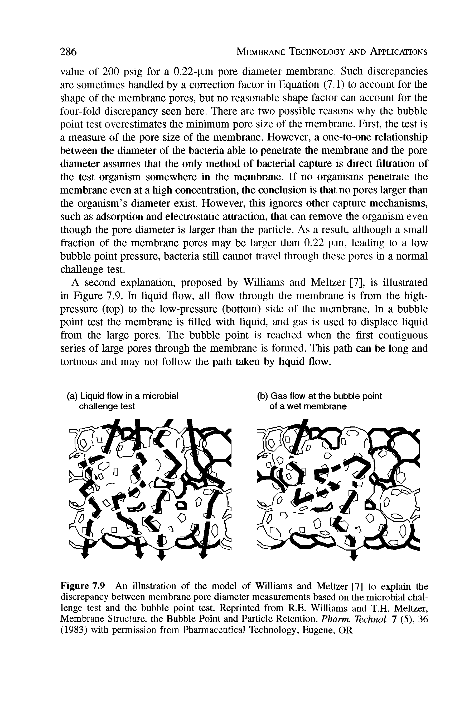 Figure 7.9 An illustration of the model of Williams and Meltzer [7] to explain the discrepancy between membrane pore diameter measurements based on the microbial challenge test and the bubble point test. Reprinted from R.E. Williams and T.H. Meltzer, Membrane Structure, the Bubble Point and Particle Retention, Pharm. Technol. 7 (5), 36 (1983) with permission from Pharmaceutical Technology, Eugene, OR...