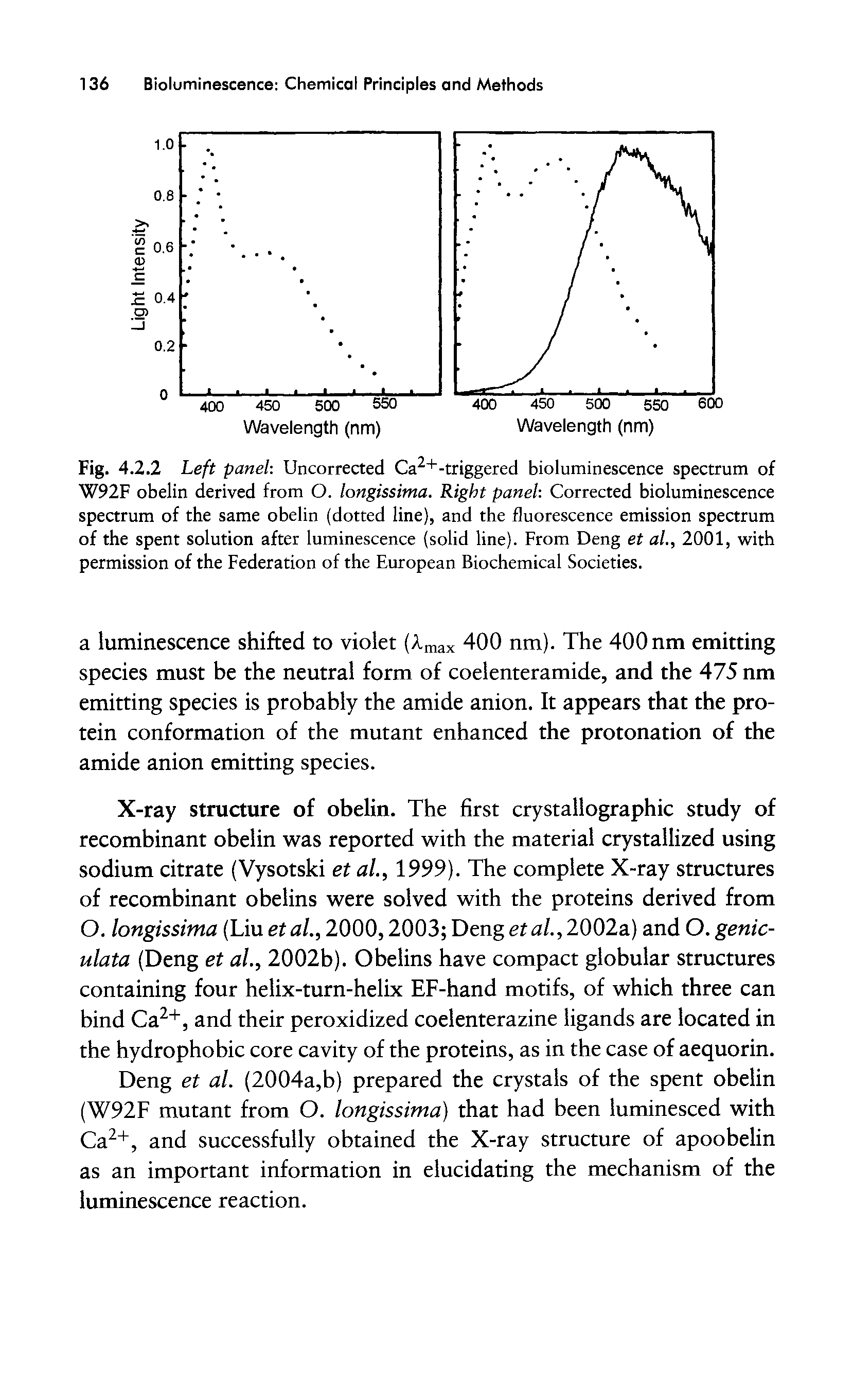 Fig. 4.2.2 Left panel-. Uncorrected Ca2+-triggered bioluminescence spectrum of W92F obelin derived from O. longissima. Right panel Corrected bioluminescence spectrum of the same obelin (dotted line), and the fluorescence emission spectrum of the spent solution after luminescence (solid line). From Deng et al., 2001, with permission of the Federation of the European Biochemical Societies.