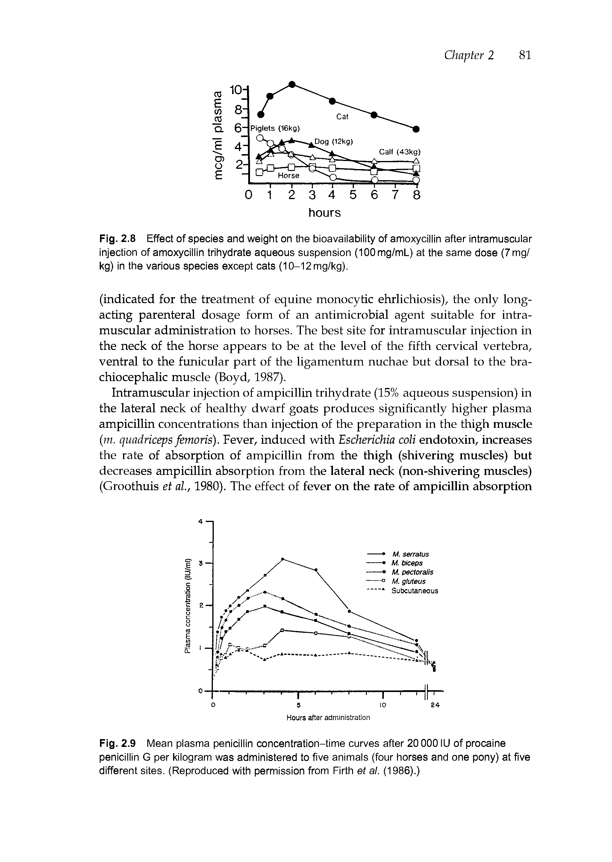 Fig. 2.9 Mean plasma penicillin concentration-time curves after 20 000IU of procaine penicillin G per kilogram was administered to five animals (four horses and one pony) at five different sites. (Reproduced with permission from Firth et al. (1986).)...