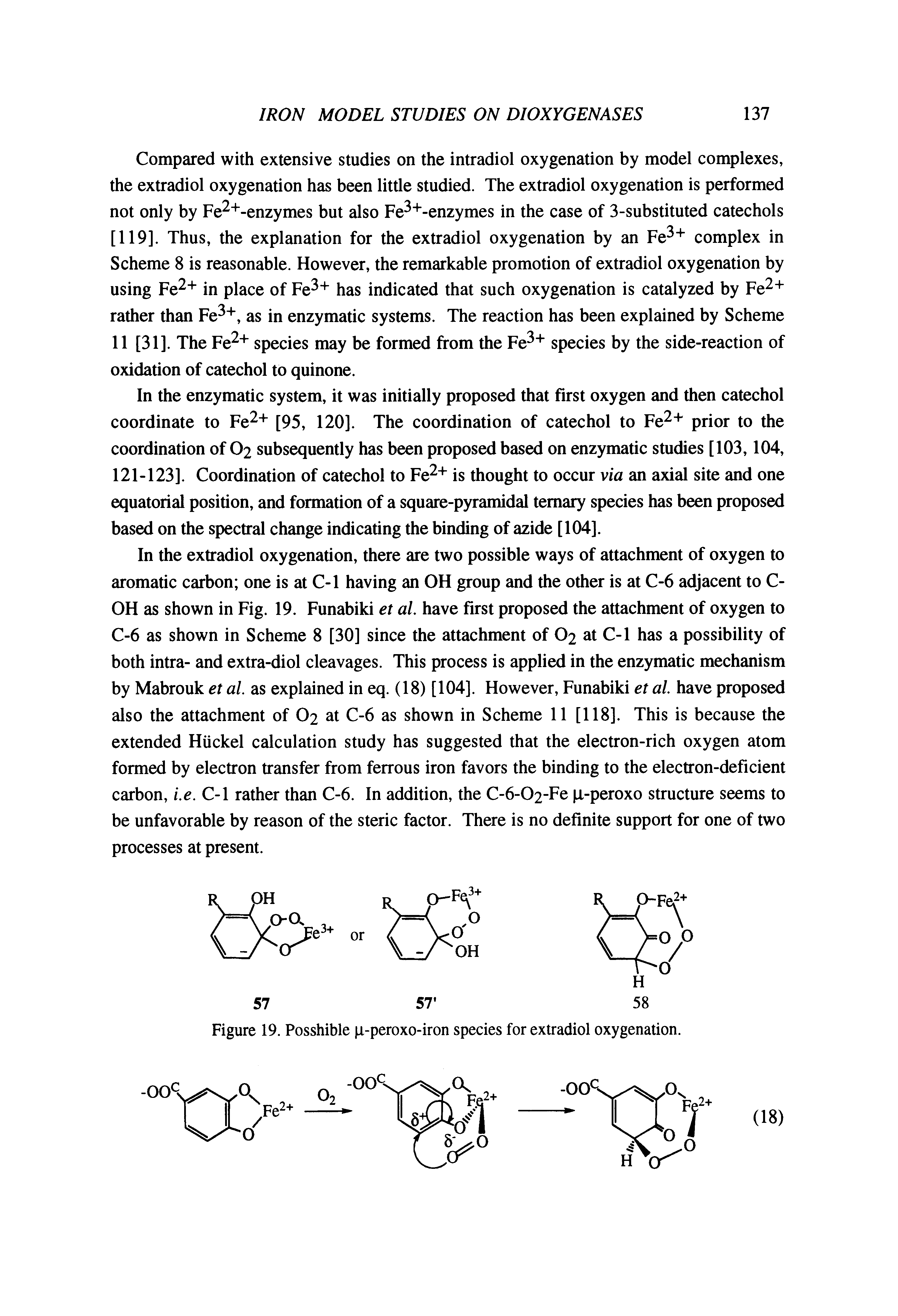 Figure 19. Posshible p-peroxo-iron species for extradiol oxygenation.