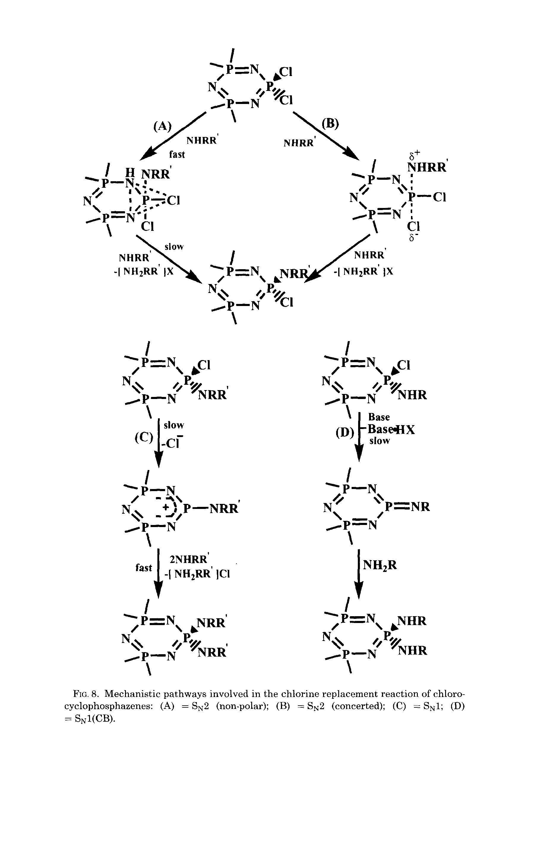 Fig. 8. Mechanistic pathways involved in the chlorine replacement reaction of chloro-cyclophosphazenes (A) = S 2 (non-polar) (B) = S 2 (concerted) (C) = S l (D) = SnI(CB).