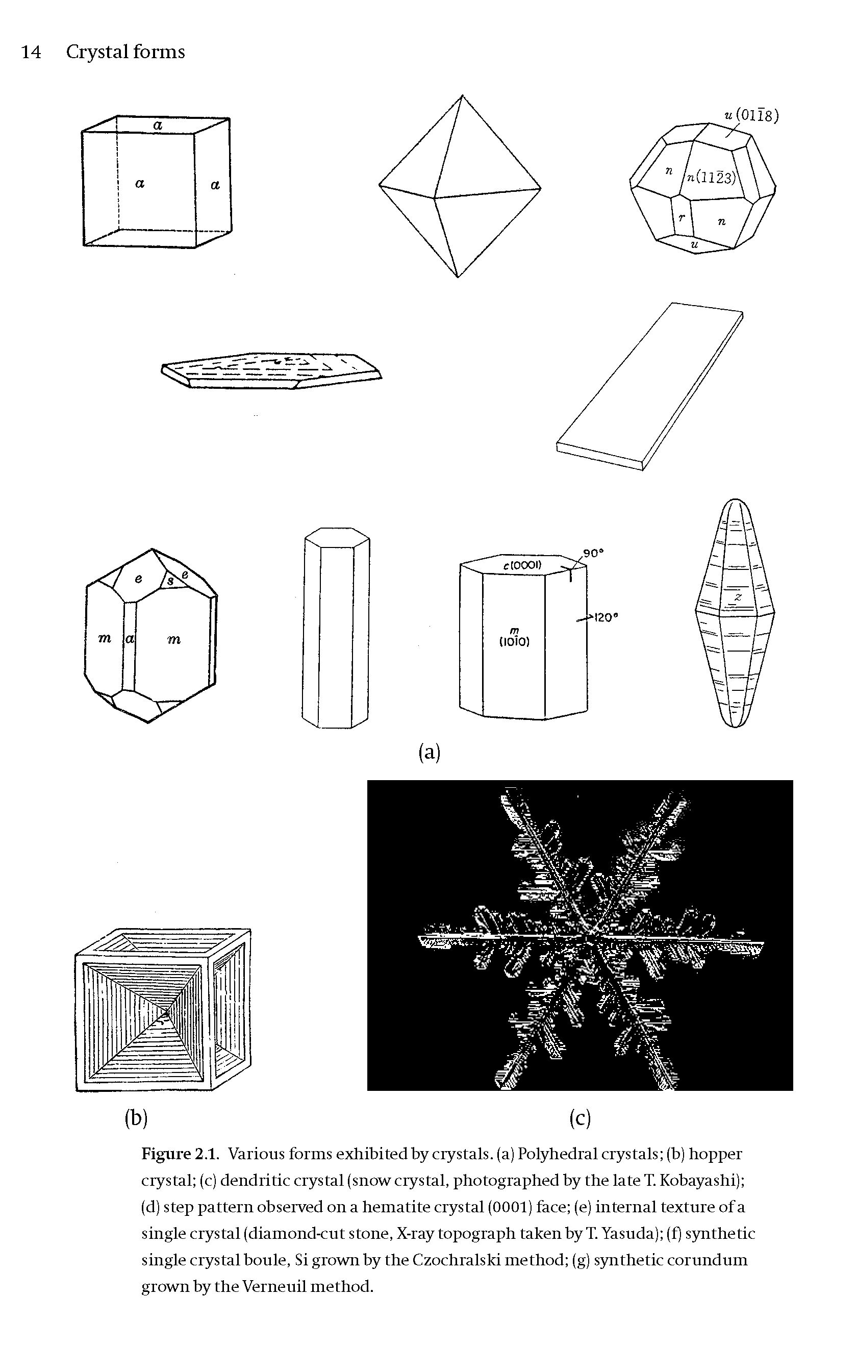 Figure 2.1. Various forms exhibited by crystals, (a) Polyhedral crystals (b) hopper crystal (c) dendritic crystal (snow crystal, photographed by the late T. Kobayashi) (d) step pattern observed on a hematite crystal (0001) face (e) internal texture of a single crystal (diamond-cut stone, X-ray topograph taken by T.Yasuda) (f) synthetic single crystal boule. Si grown by the Czochralski method (g) synthetic corundum grown by the Verneuil method.