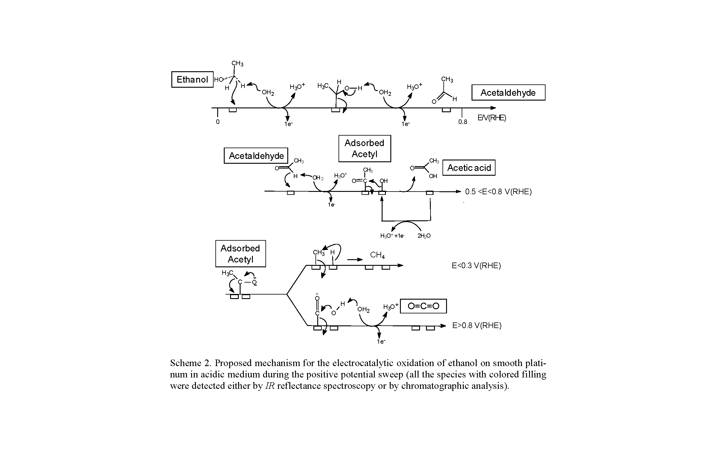 Scheme 2. Proposed mechanism for the electrocatalytic oxidation of ethanol on smooth platinum in acidic medium during the positive potential sweep (all the species with colored filling were detected either by IR reflectance spectroscopy or by chromatographic analysis).