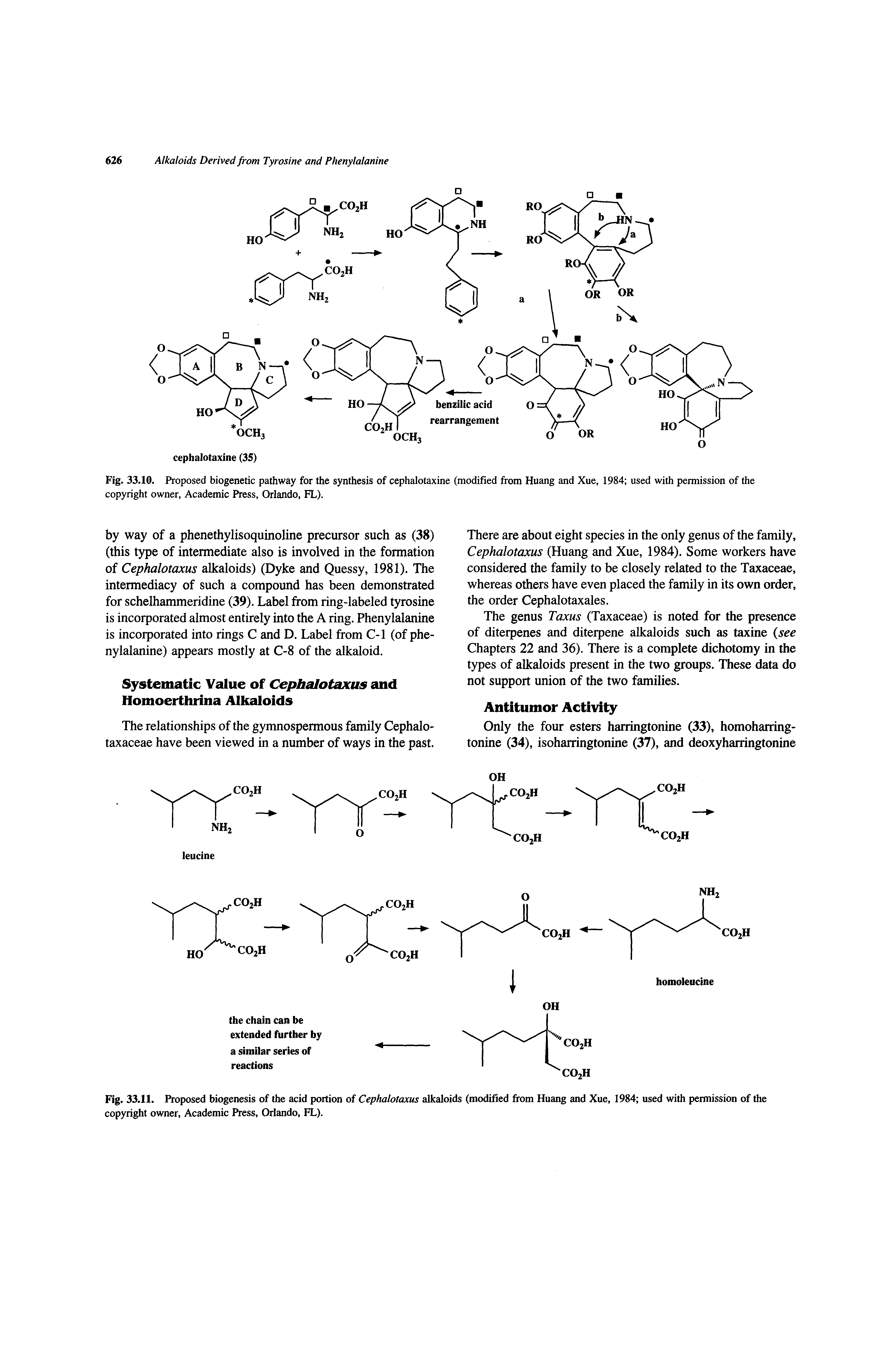 Fig. 33.11. Proposed biogenesis of the acid portion of Cephalotaxus alkaloids (modified from Huang and Xue, 1984 used with permission of the copyright owner. Academic Press, Orlando, FL).