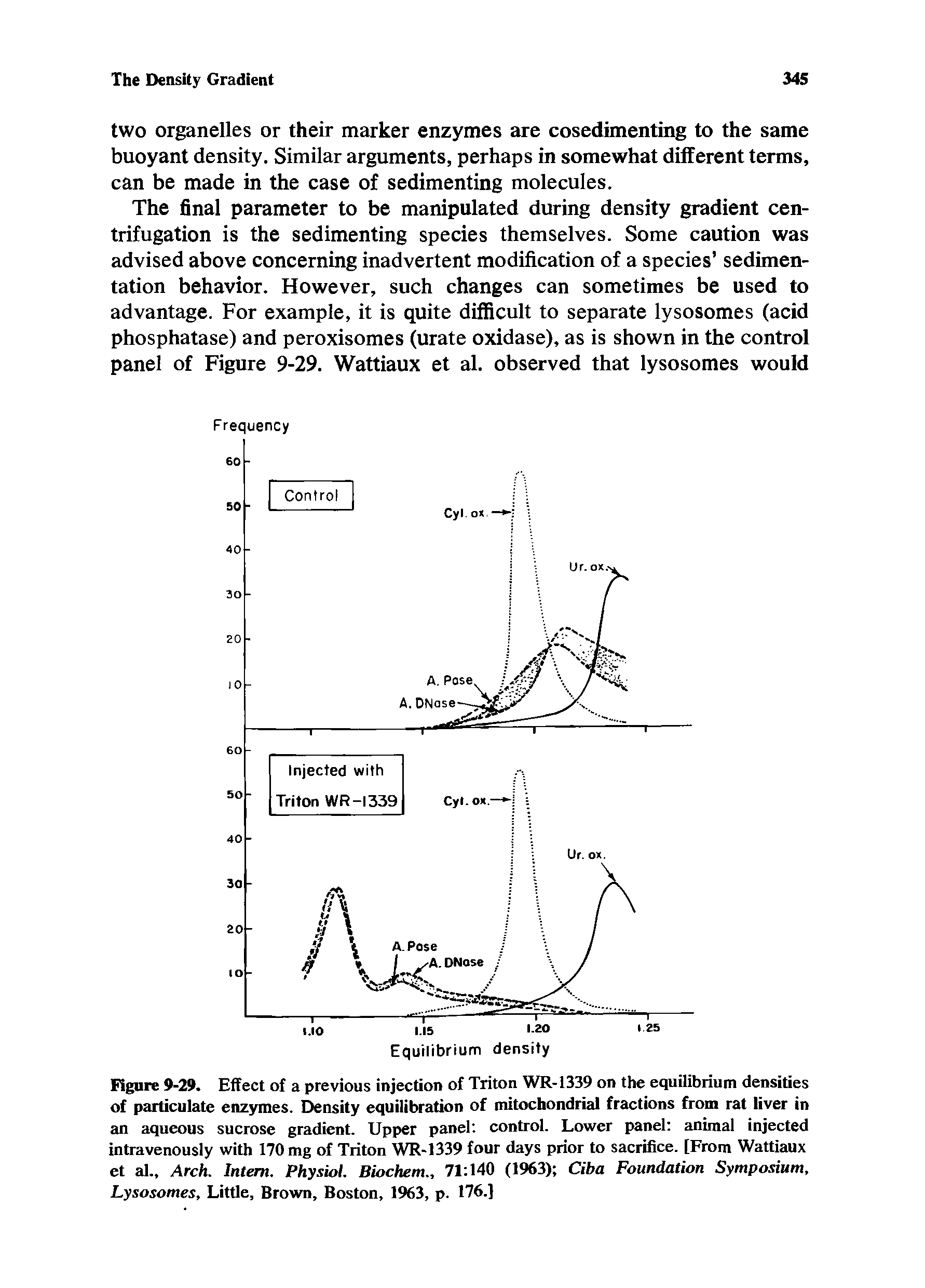 Figure 9-29. Effect of a previous injection of Triton WR-1339 on the equilibrium densities of particulate enzymes. Density equilibration of mitochondrial fractions from rat liver in an aqueous sucrose gradient. Upper panel control. Lower panel animal injected intravenously with 170 mg of Triton WR-1339 four days prior to sacrifice. [From Wattiaux et al.. Arch. Intern. Physiol. Biochem., 71 140 (1963) Ciba Foundation Symposium, Lysosomes, Little, Brown, Boston, 1963, p. 176.]...