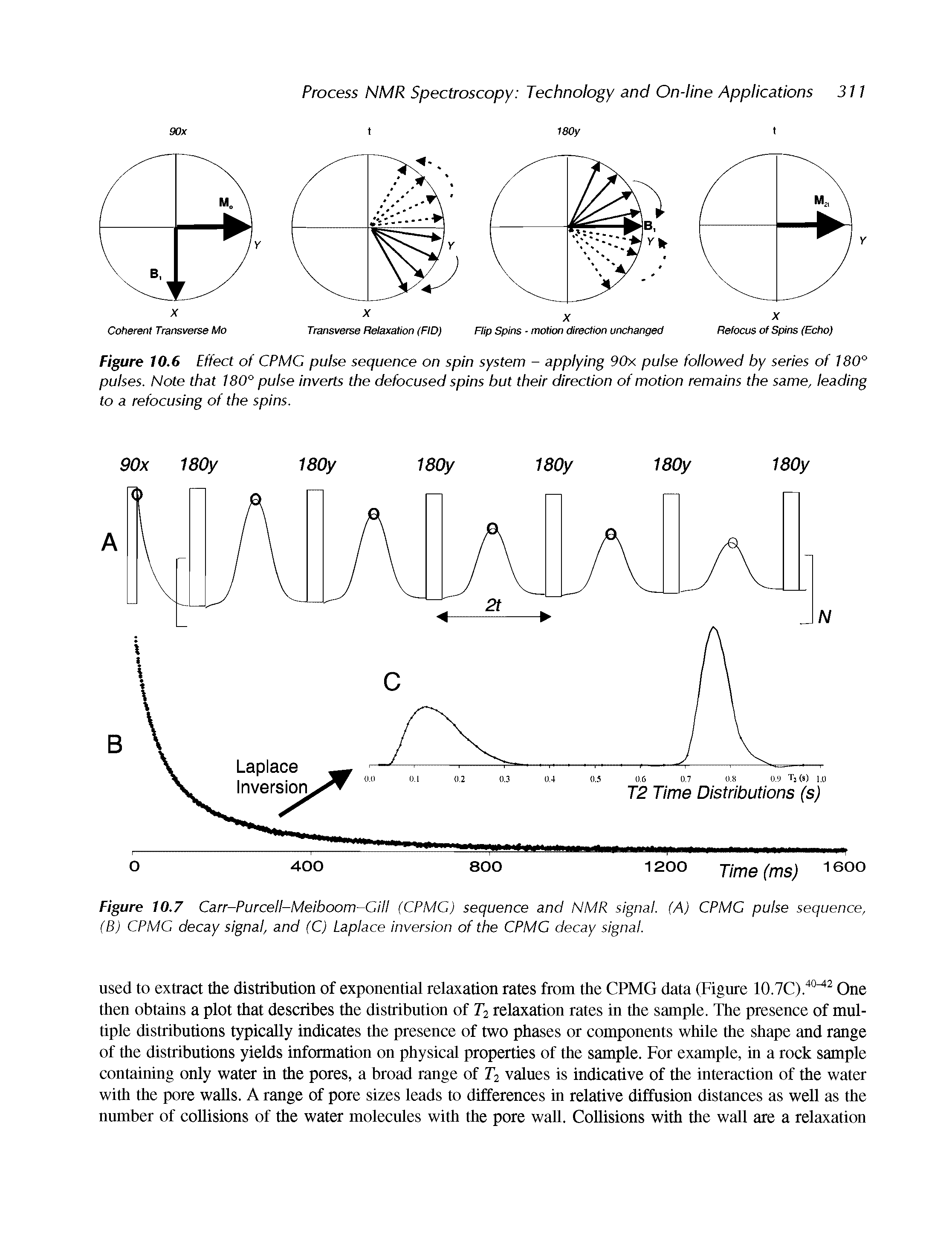 Figure 10.7 Carr-Purcell-Meiboom Gill (CPMC) sequence and NMR signal. (A) CPMC pulse sequence, (B) CPMC decay signal, and (C) Laplace inversion of the CPMC decay signal.