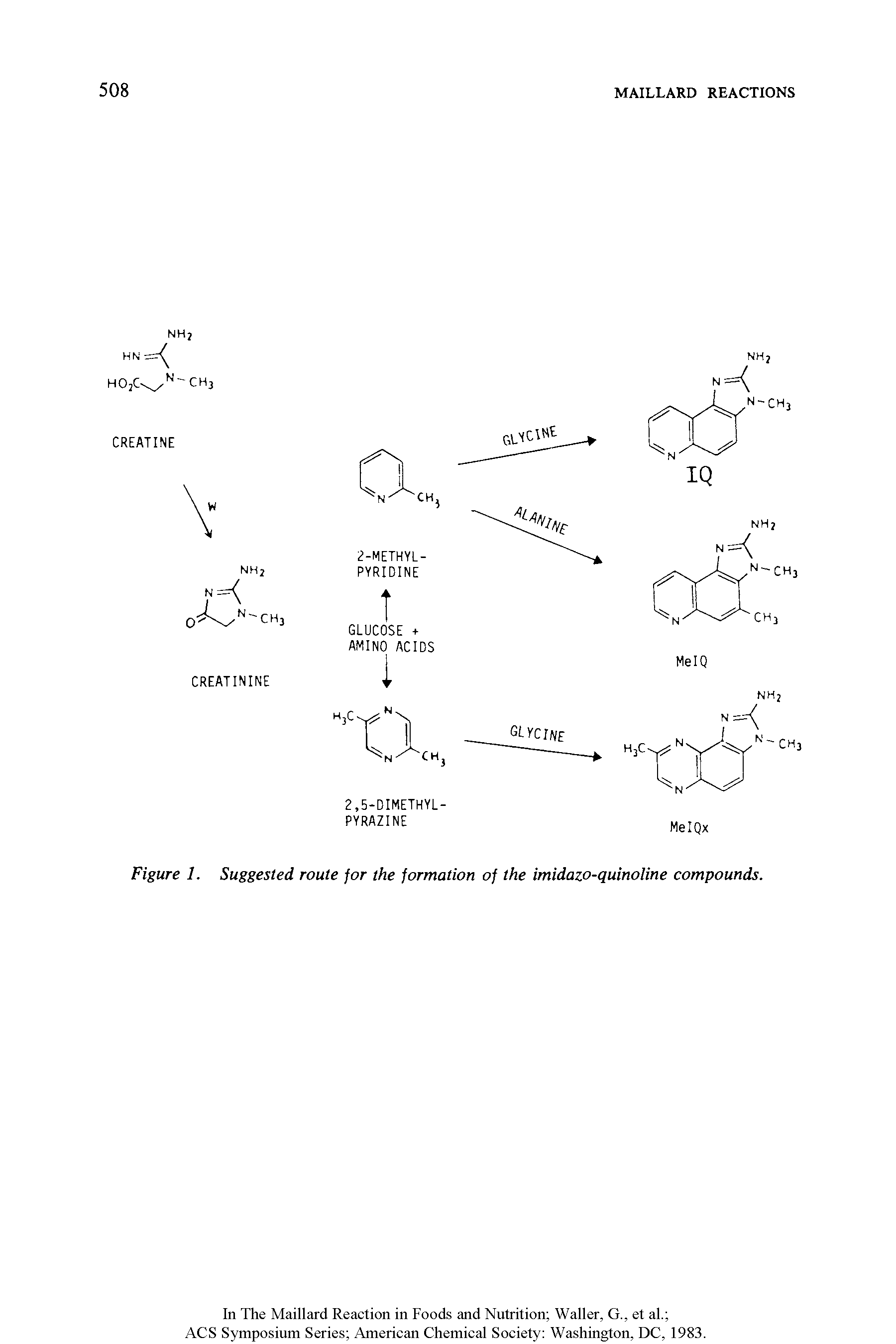 Figure 1. Suggested route for the formation of the imidazo-quinoline compounds.
