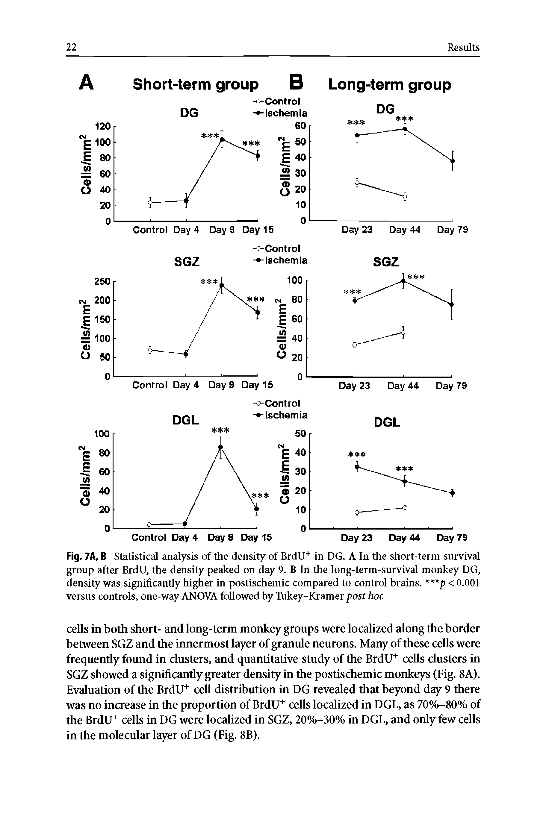 Fig. 7A, B Statistical analysis of the density of BrdU+ in DG. A In the short-term survival group after BrdU, the density peaked on day 9. B In the long-term-survival monkey DG, density was significantly higher in postischemic compared to control brains. p < 0.001 versus controls, one-way ANOVA followed by Tukey-Kramer post hoc...