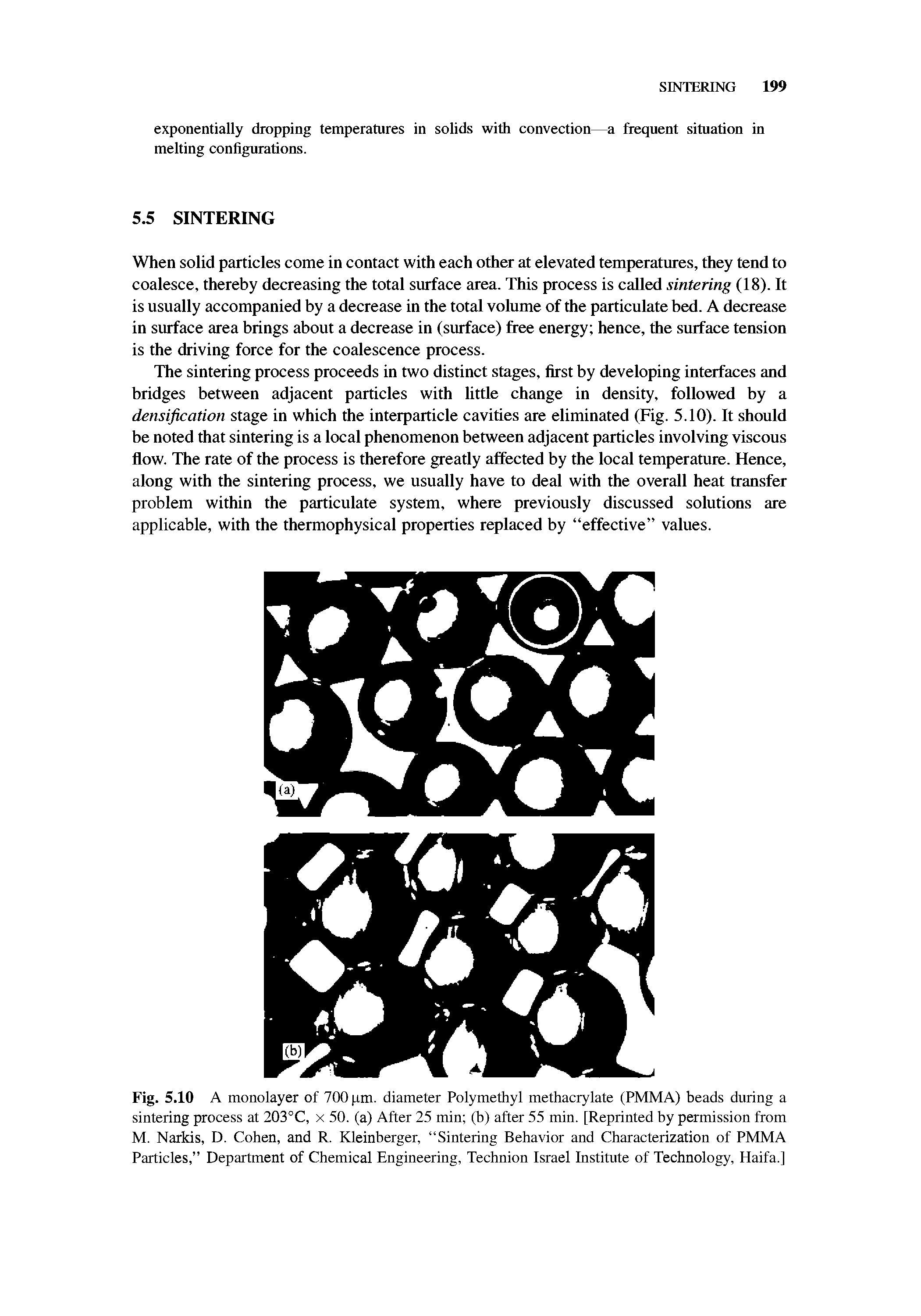 Fig. 5.10 A monolayer of 700 pm. diameter Polymethyl methacrylate (PMMA) beads during a sintering process at 203°C, x 50. (a) After 25 min (b) after 55 min. [Reprinted by permission from M. Narkis, D. Cohen, and R. Kleinberger, Sintering Behavior and Characterization of PMMA Particles, Department of Chemical Engineering, Technion Israel Institute of Technology, Haifa.]...