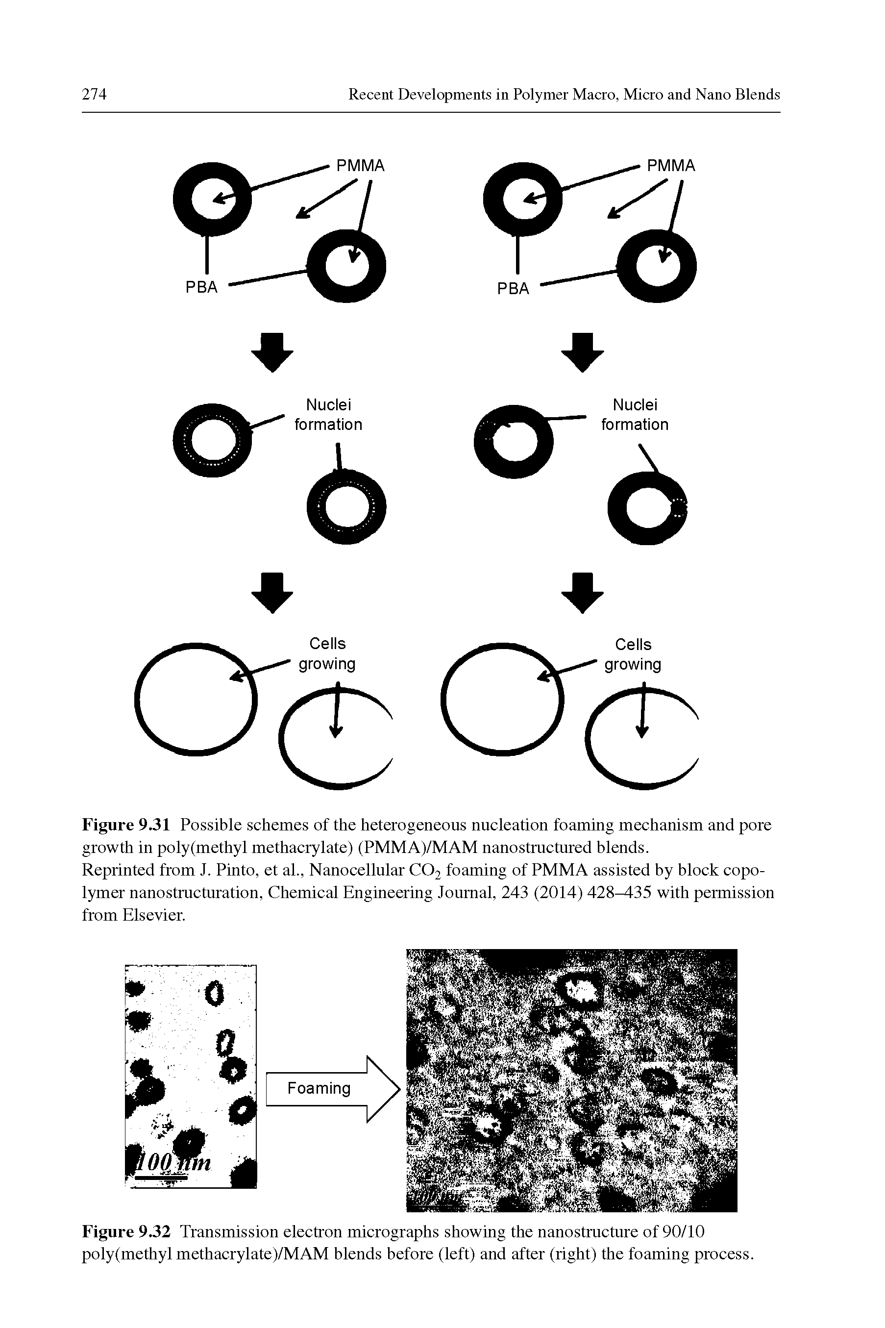 Figure 9.31 Possible schemes of the heterogeneous nucleation foaming mechanism and pore growth in poly(methyl methacrylate) (PMMA)/MAM nanostructured blends.