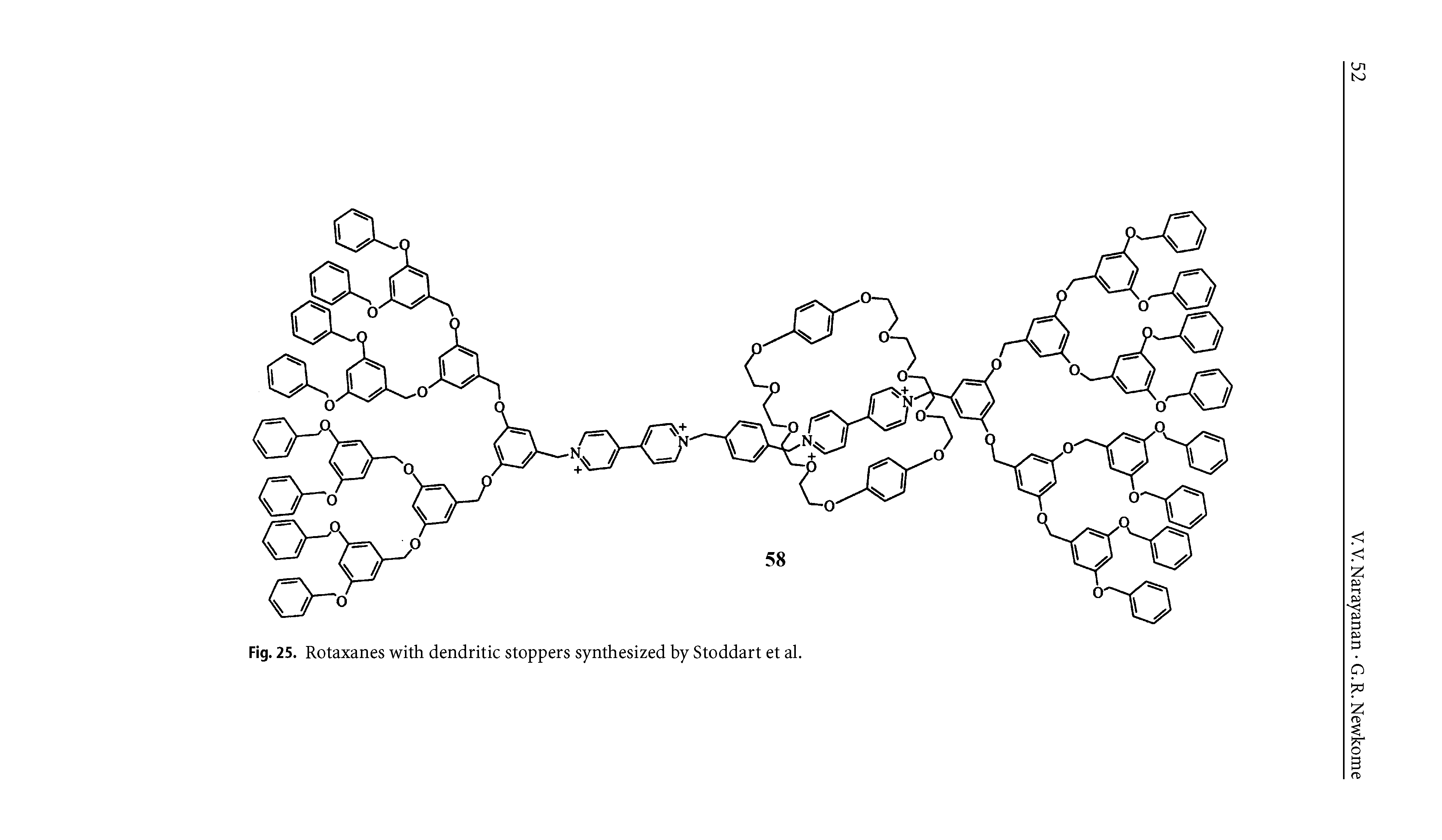 Fig. 25. Rotaxanes with dendritic stoppers synthesized by Stoddart et al.