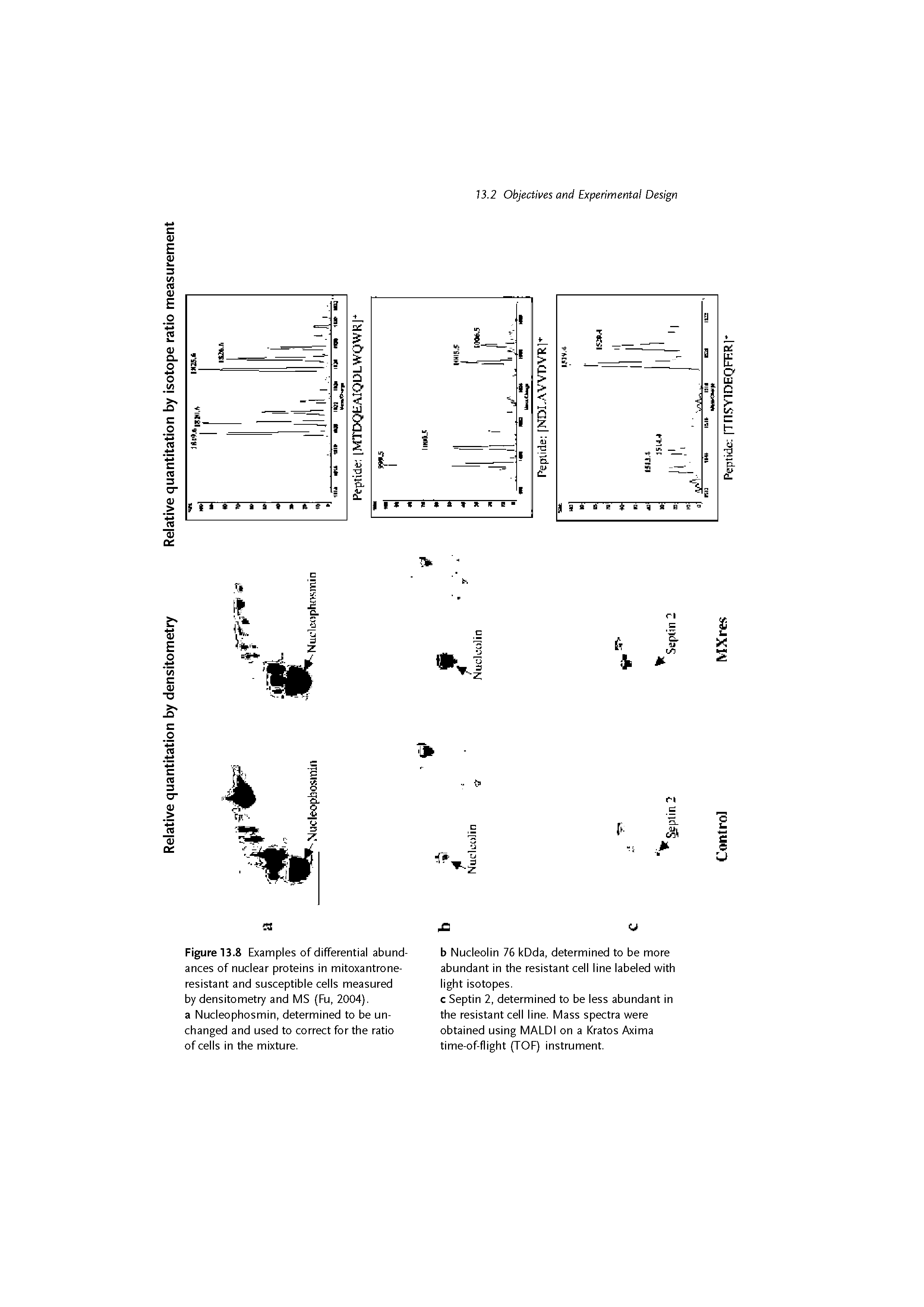 Figure 13.8 Examples of differential abundances of nuclear proteins in mitoxantrone-resistant and susceptible cells measured by densitometry and MS (Fu, 2004). a Nucleophosmin, determined to be unchanged and used to correct for the ratio of cells in the mixture.