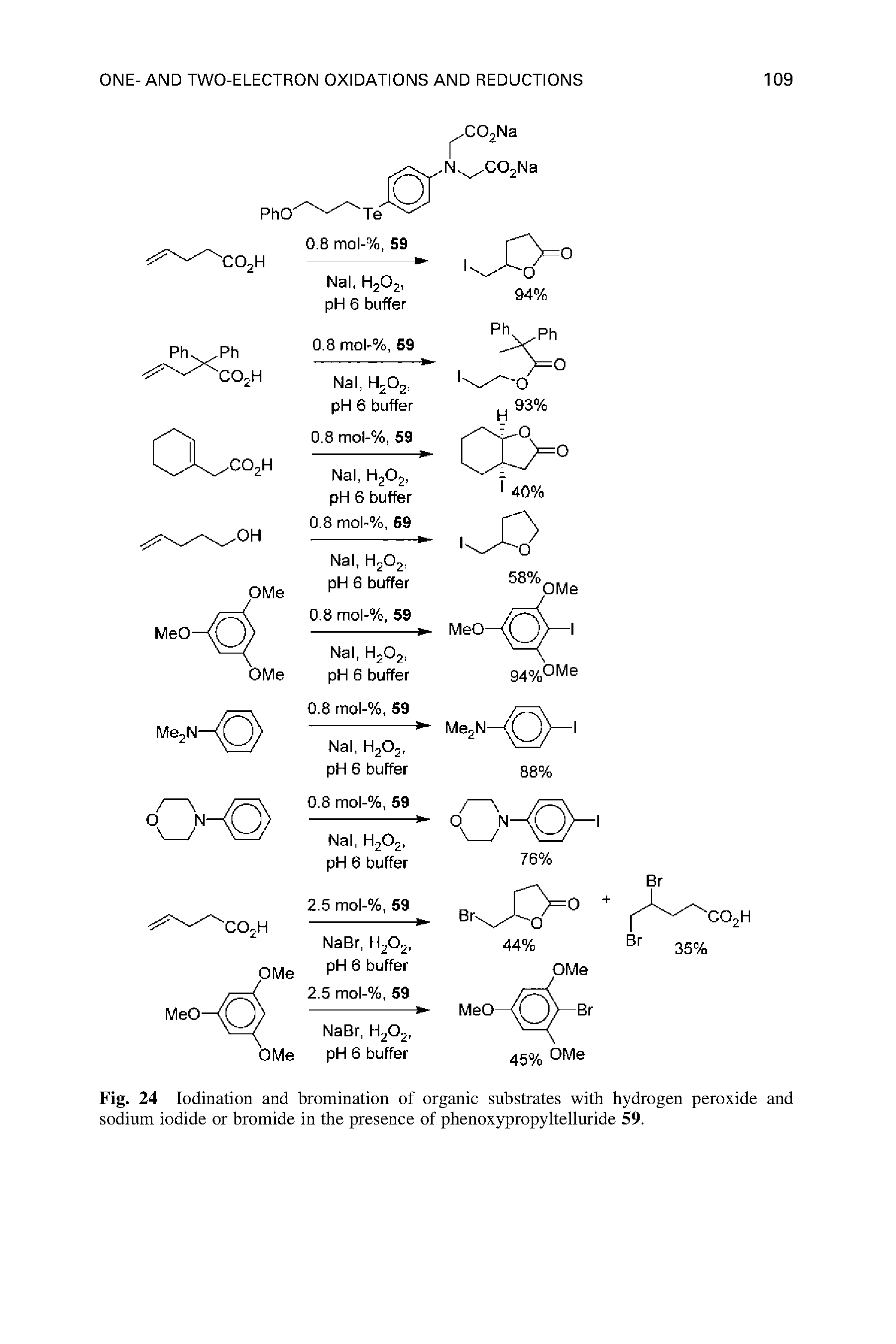 Fig. 24 Iodination and bromination of organic substrates with hydrogen peroxide and sodium iodide or bromide in the presence of phenoxypropyltelluride 59.