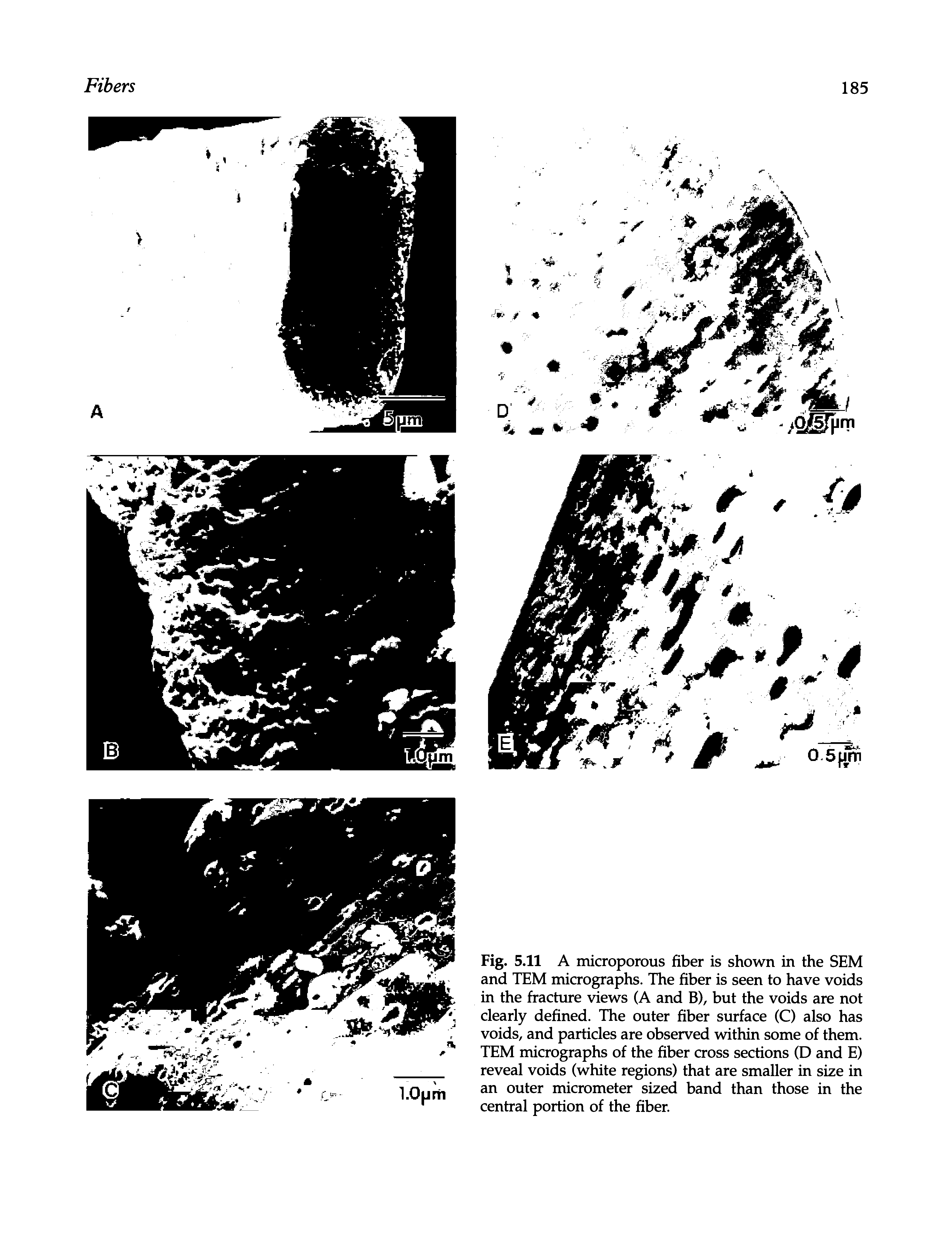Fig. 5.11 A microporous fiber is shown in the SEM and TEM micrographs. The fiber is seen to have voids in the fracture views (A and B), but the voids are not clearly defined. The outer fiber surface (C) also has voids, and particles are observed within some of them. TEM micrographs of the fiber cross sections (D and E) reveal voids (white regions) that are smaller in size in an outer micrometer sized band than those in the central portion of the fiber.