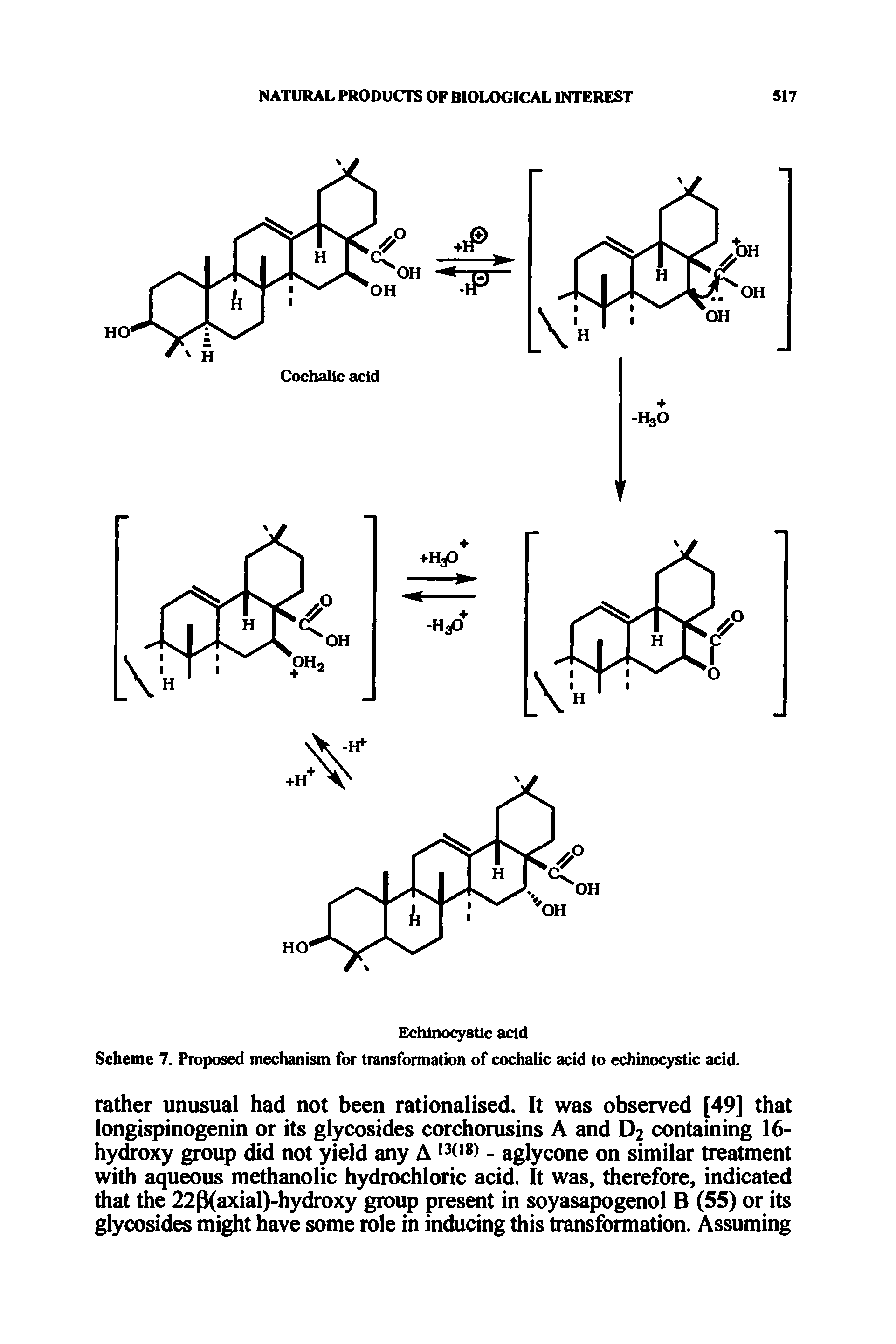 Scheme 7. Proposed mechanism for transformation of cochalic acid to echinocystic acid.