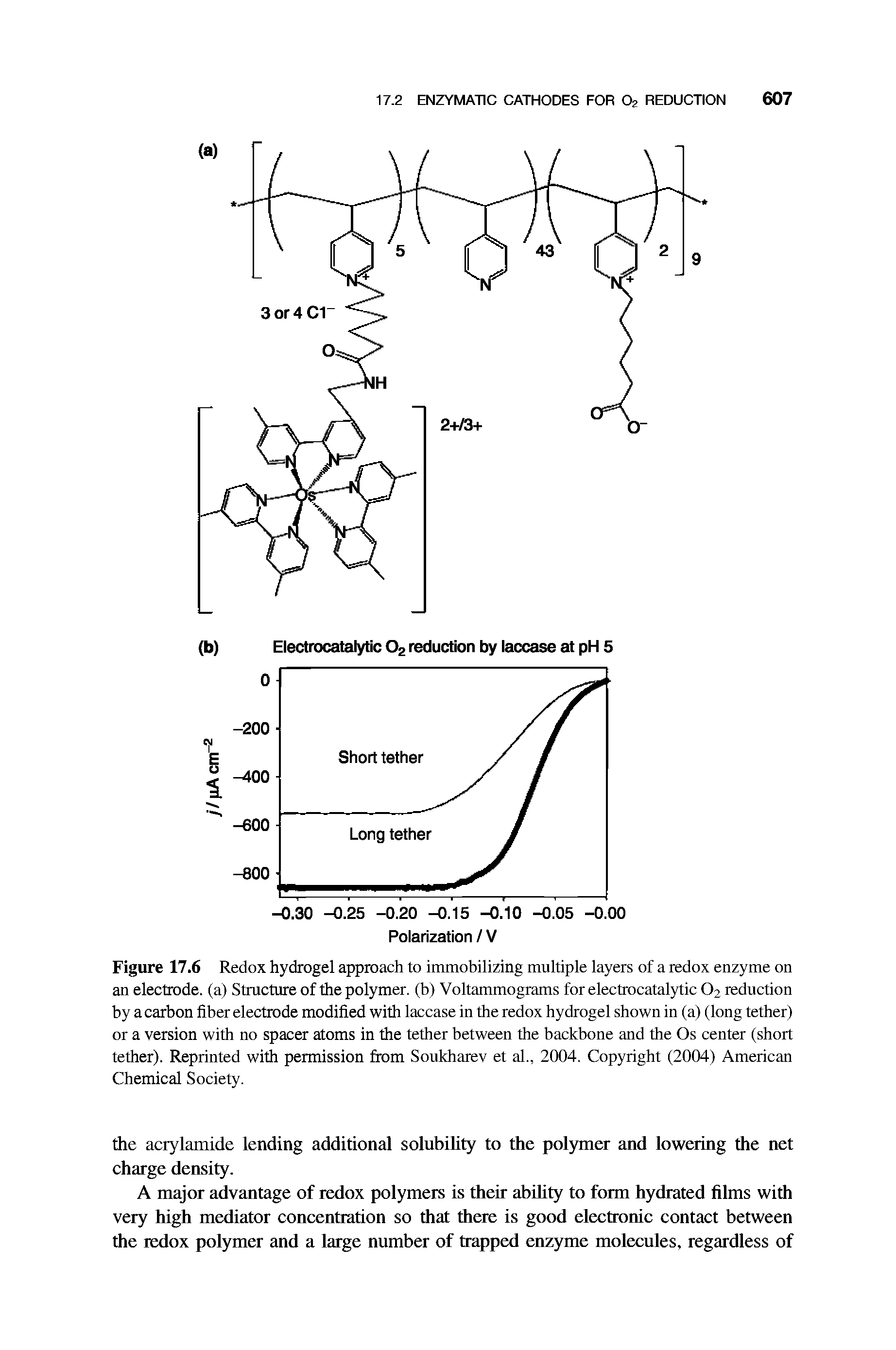 Figure 17.6 Redox hydrogel approach to immobilizing multiple layers of a redox enzyme on an electrode, (a) Structure of the polymer, (b) Voltammograms for electrocatalytic O2 reduction by a carbon fiber electrode modified with laccase in the redox hydrogel shown in (a) (long tether) or a version with no spacer atoms in the tether between the backbone and the Os center (short tether). Reprinted with permission fi om Soukharev et al., 2004. Copyright (2004) American Chemical Society.