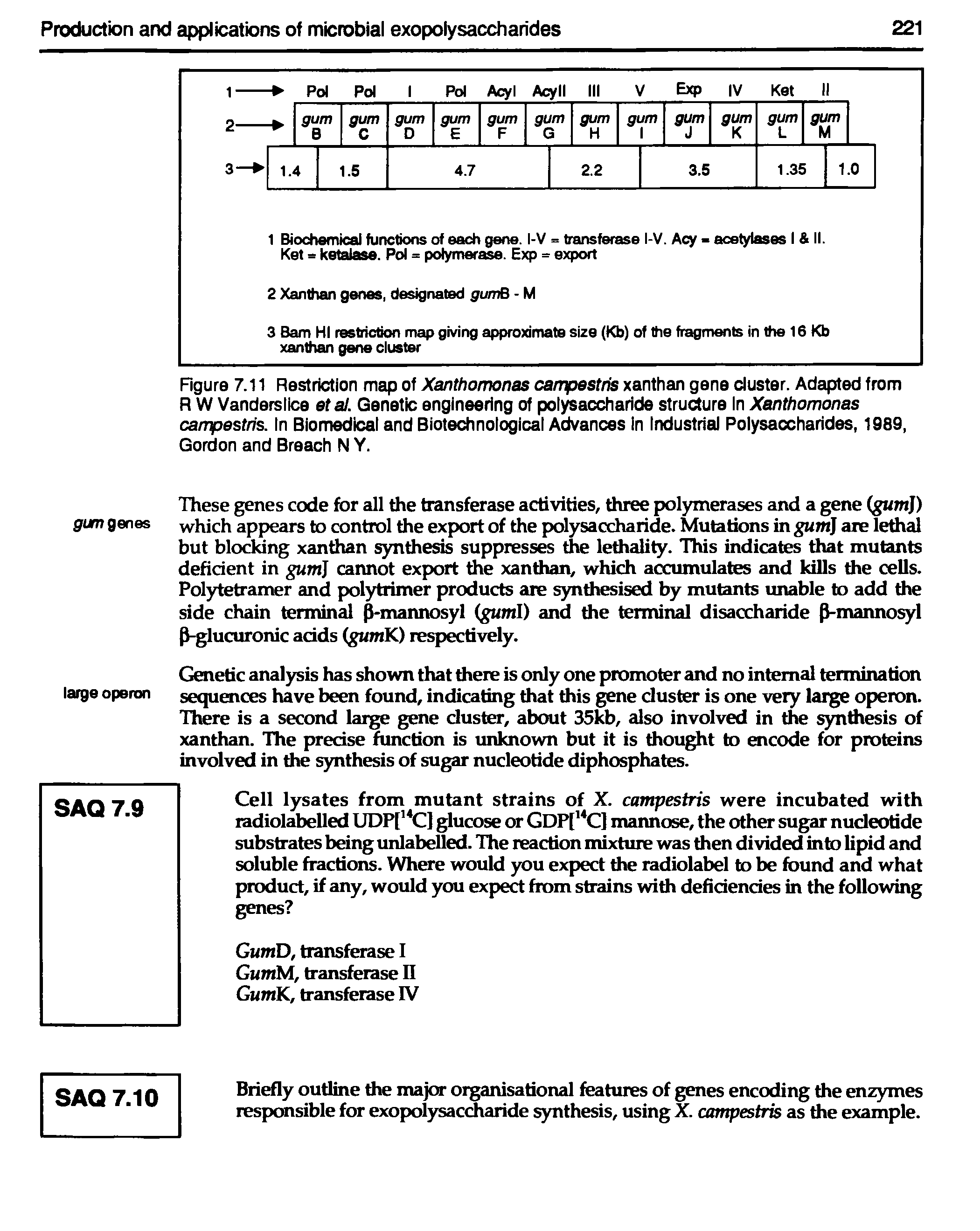 Figure 7.11 Restriction map of Xanthomonas campestris xanthan gene cluster. Adapted from R W Vanderslice at at. Genetic engineering of polysaccharide structure In Xanthomonas campestris. In Biomedical and Biotechnological Advances In Industrial Polysaccharides, 1989, Gordon and Breach N Y.