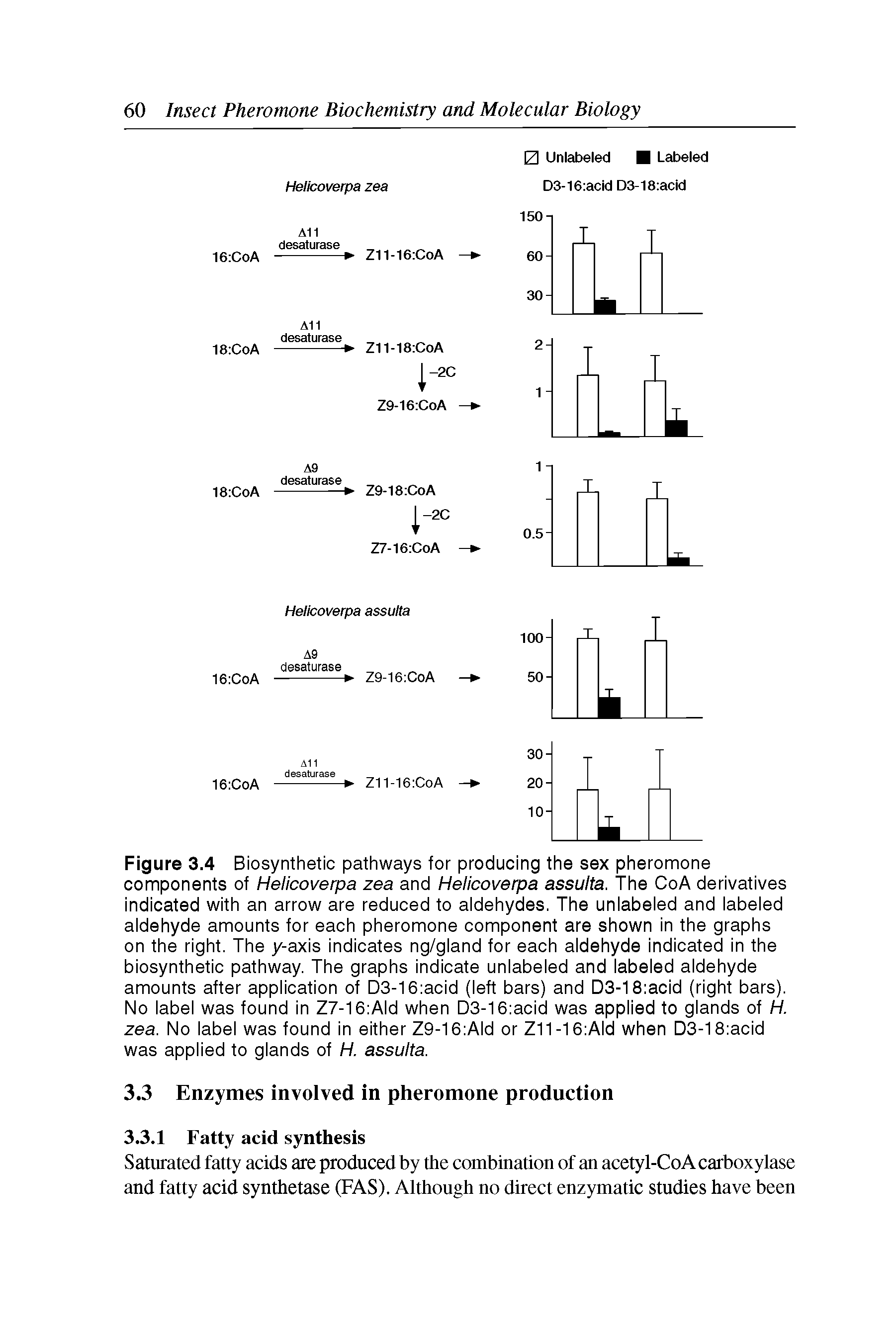 Figure 3.4 Biosynthetic pathways for producing the sex pheromone components of Helicoverpa zea and Helicoverpa assulta. The CoA derivatives indicated with an arrow are reduced to aldehydes. The unlabeled and labeled aldehyde amounts for each pheromone component are shown in the graphs on the right. The y-axis indicates ng/gland for each aldehyde indicated in the biosynthetic pathway. The graphs indicate unlabeled and labeled aldehyde amounts after application of D3-16 acid (left bars) and D3-18 acid (right bars). No label was found in Z7-16 Ald when D3-16 acid was applied to glands of H. zea. No label was found in either Z9-16 Ald or Z11-16 Ald when D3-18 acid was applied to glands of H. assulta.