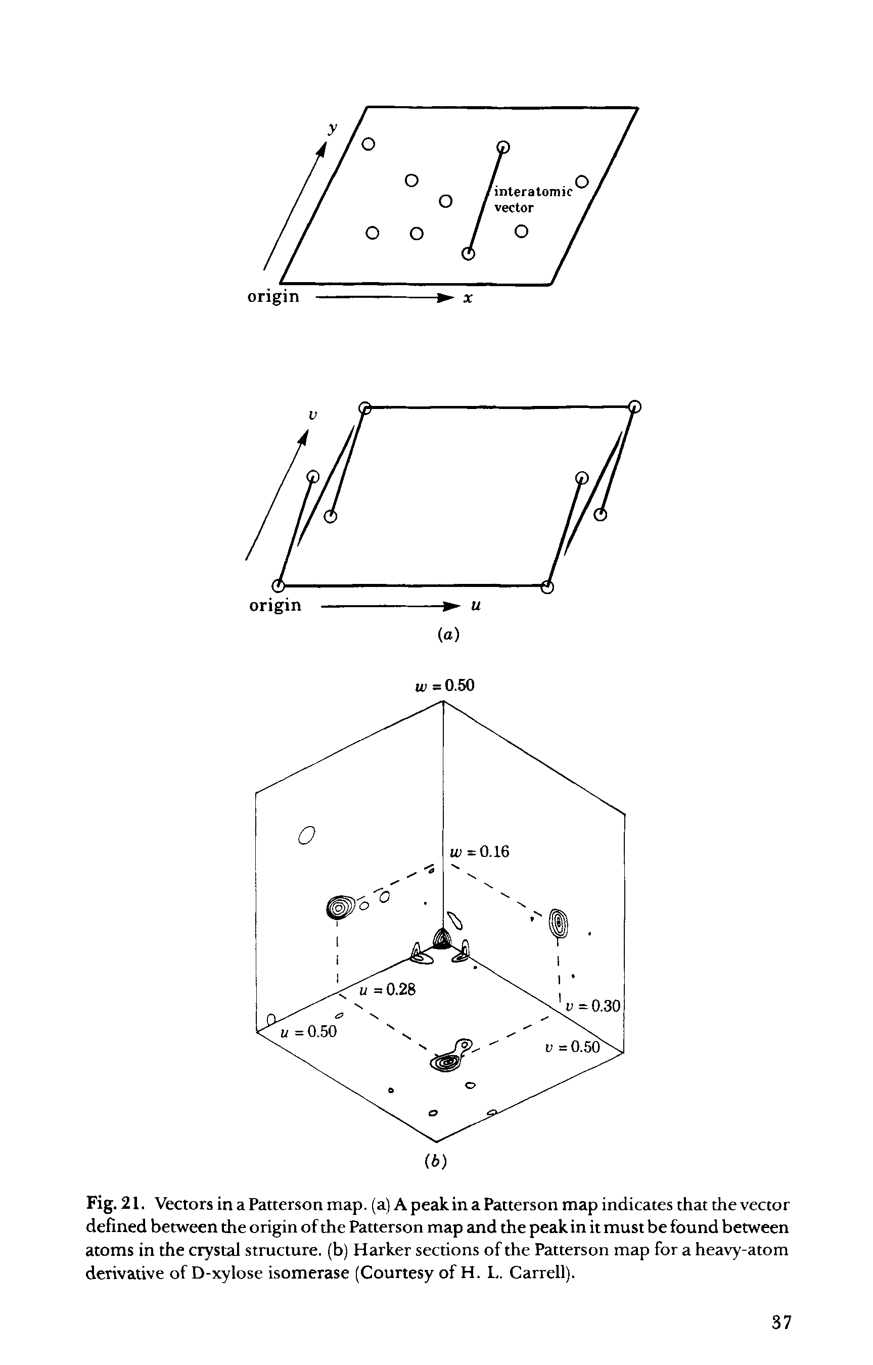 Fig. 21. Vectors in a Patterson map. (a) A peak in a Patterson map indicates that the vector defined between the origin of the Patterson map and the peak in it must be found between atoms in the crystal structure, (b) Harker sections of the Patterson map for a heavy-atom derivative of D-xylose isomerase (Courtesy of H. L. Carrell).