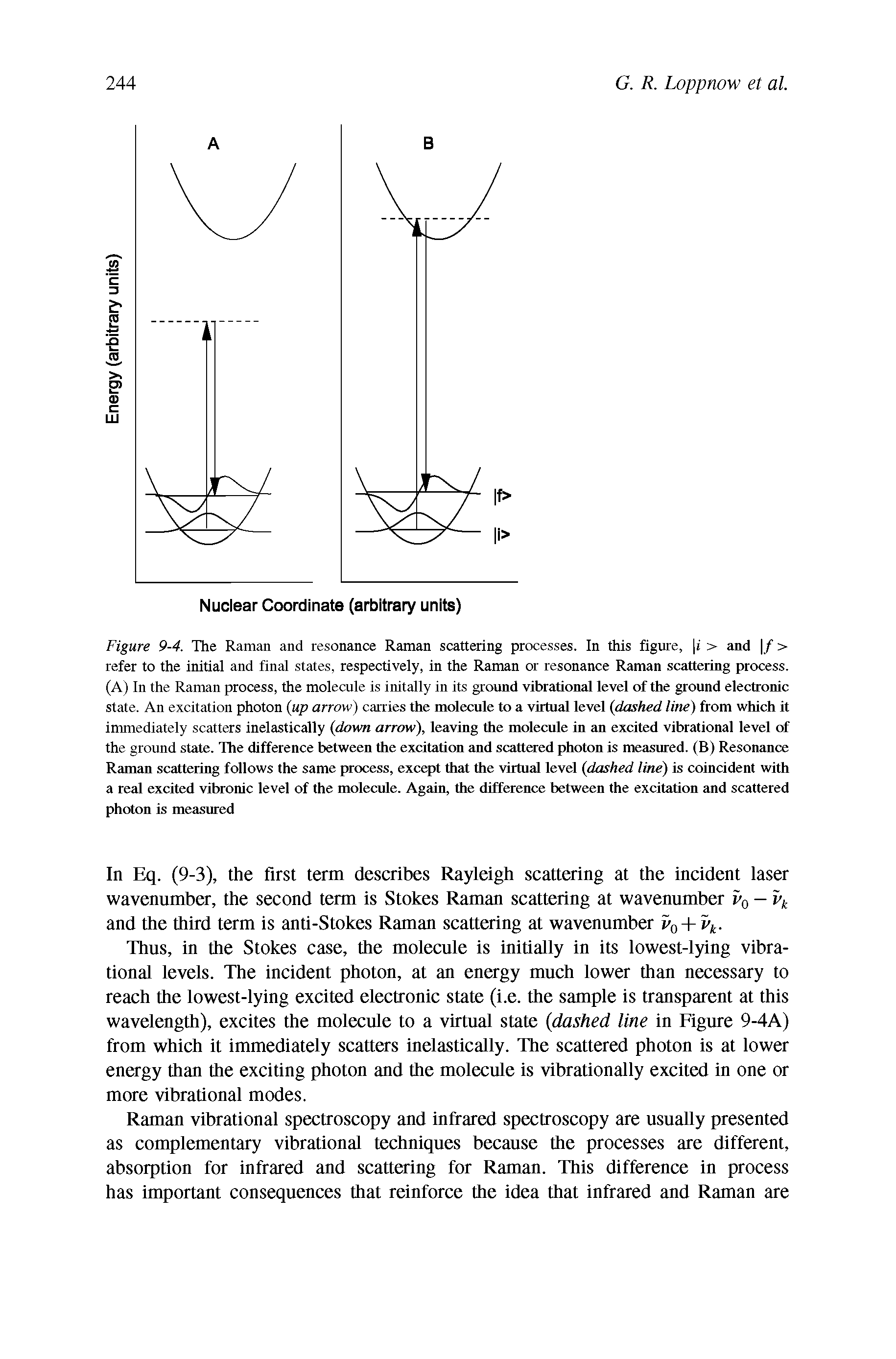 Figure 9-4. The Raman and resonance Raman scattering processes. In this figure, i > and f > refer to the initial and final states, respectively, in the Raman or resonance Raman scattering process. (A) In the Raman process, the molecule is initally in its ground vibrational level of the ground electronic state. An excitation photon (up arrow) carries the molecule to a virtual level (dashed line) from which it immediately scatters inelastically (down arrow), leaving die molecule in an excited vibrational level of the ground state. The difference between die excitation and scattered photon is measured. (B) Resonance Raman scattering follows the same process, except that die virtual level (dashed line) is coincident with a real excited vibronic level of the molecule. Again, die difference between the excitation and scattered photon is measured...