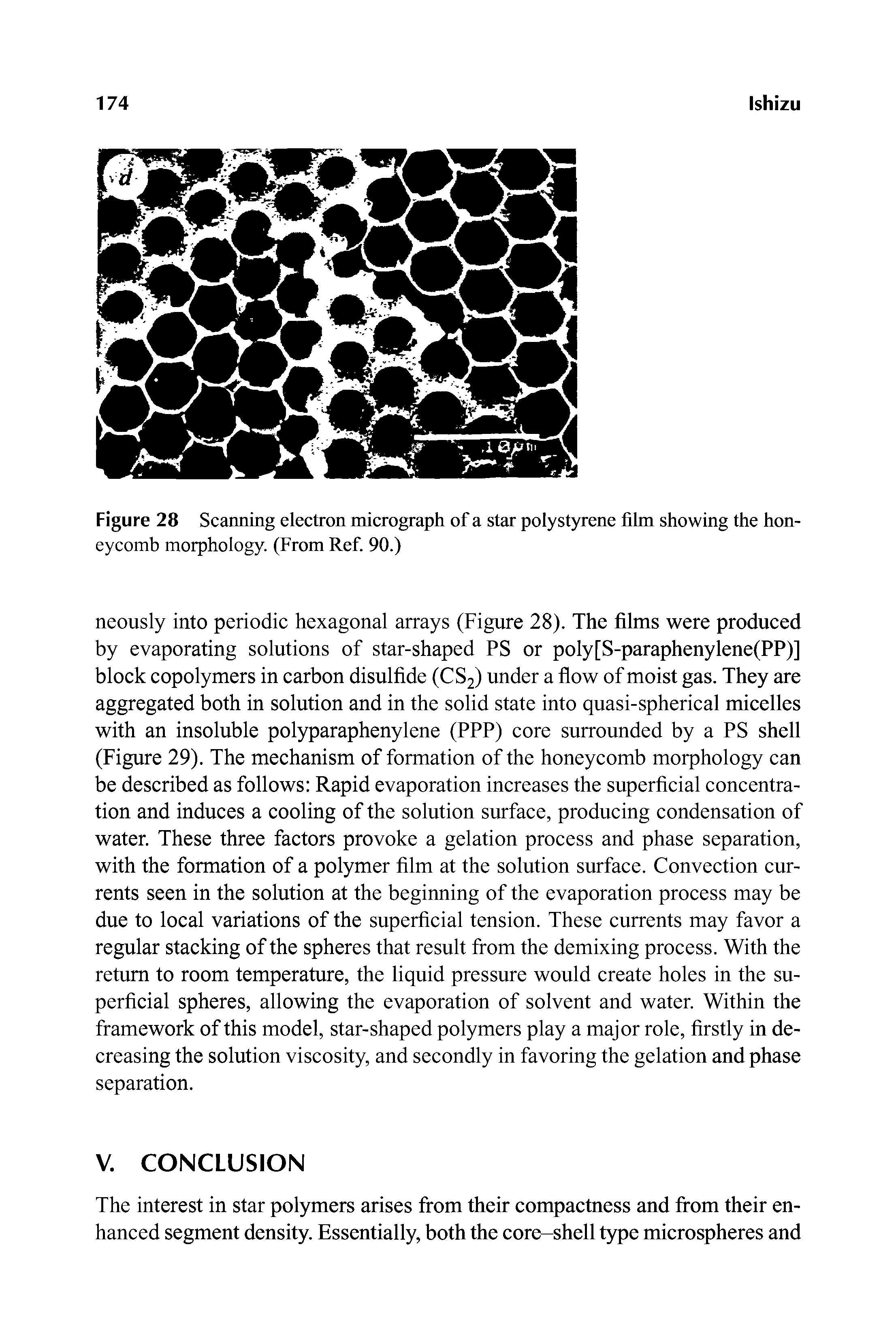 Figure 28 Scanning electron micrograph of a star polystyrene film showing the honeycomb morphology. (From Ref 90.)...