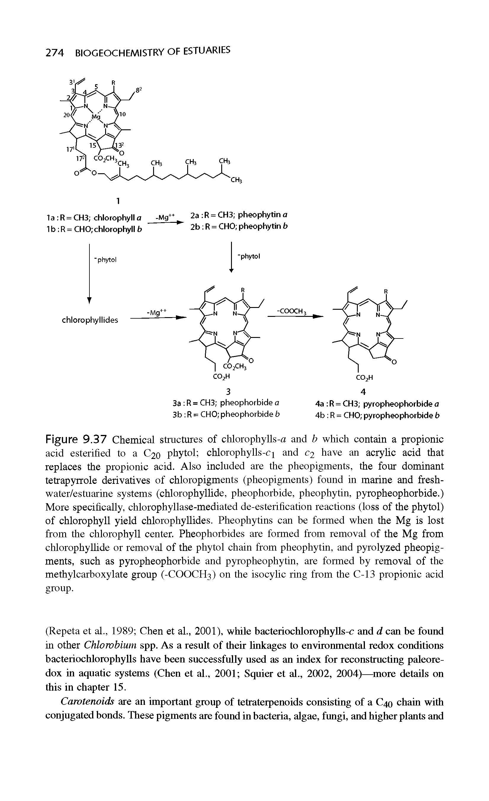 Figure 9.37 Chemical structures of chlorophylls-a and b which contain a propionic acid esterified to a C20 phytol chlorophylls-cj and C2 have an acrylic acid that replaces the propionic acid. Also included are the pheopigments, the four dominant tetrapyrrole derivatives of chloropigments (pheopigments) found in marine and fresh-water/estuarine systems (chlorophyllide, pheophorbide, pheophytin, pyropheophorbide.) More specifically, chlorophyllase-mediated de-esterification reactions (loss of the phytol) of chlorophyll yield chlorophyllides. Pheophytins can be formed when the Mg is lost from the chlorophyll center. Pheophorbides are formed from removal of the Mg from chlorophyllide or removal of the phytol chain from pheophytin, and pyrolyzed pheopigments, such as pyropheophorbide and pyropheophytin, are formed by removal of the methylcarboxylate group (-COOCH3) on the isocylic ring from the C-13 propionic acid group.