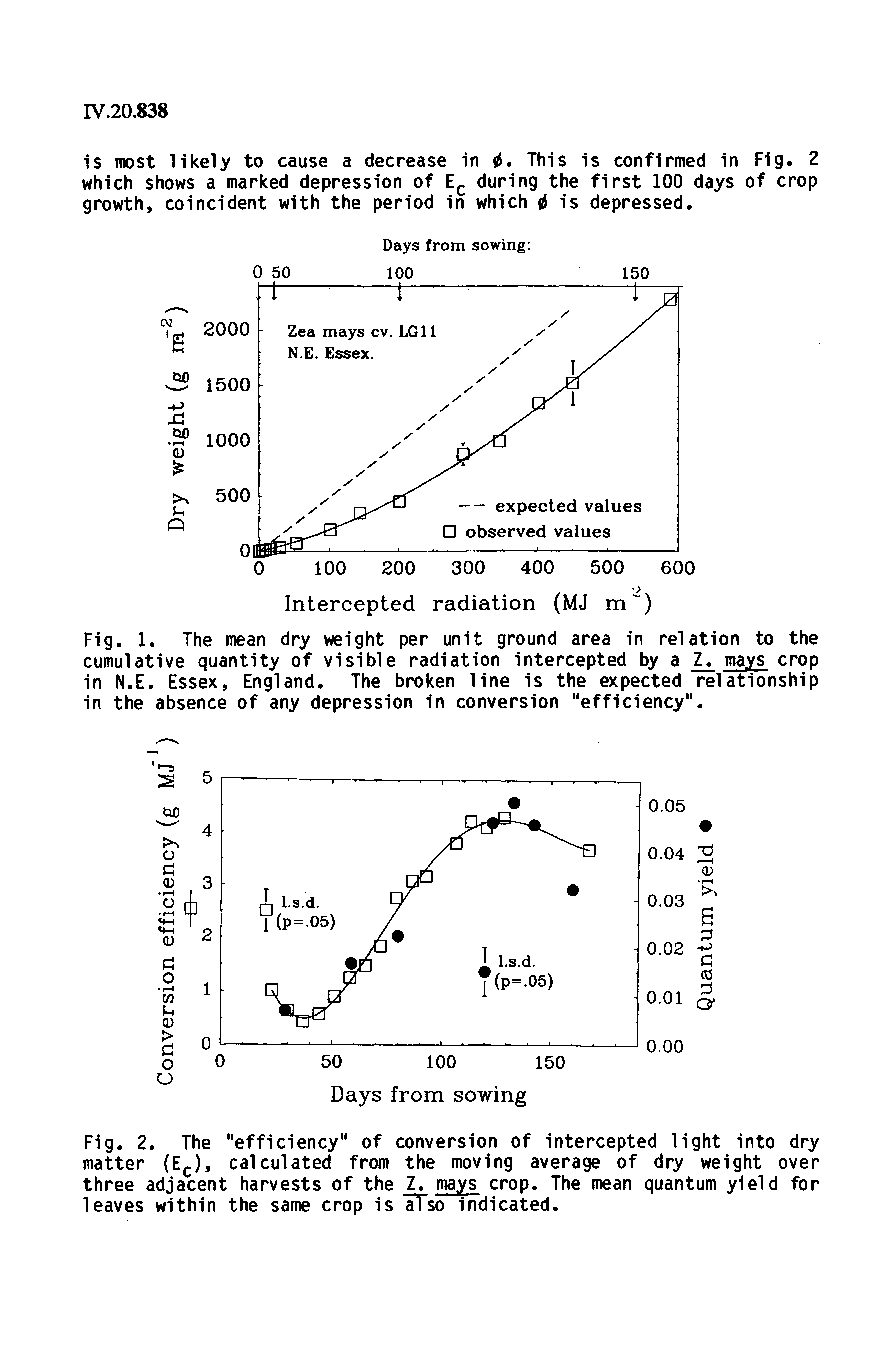 Fig. 2. The "efficiency" of conversion of intercepted light into dry matter (E. ), calculated from the moving average of dry weight over three adjacent harvests of the Z. mays crop. The mean quantum yield for leaves within the same crop is also indicated.
