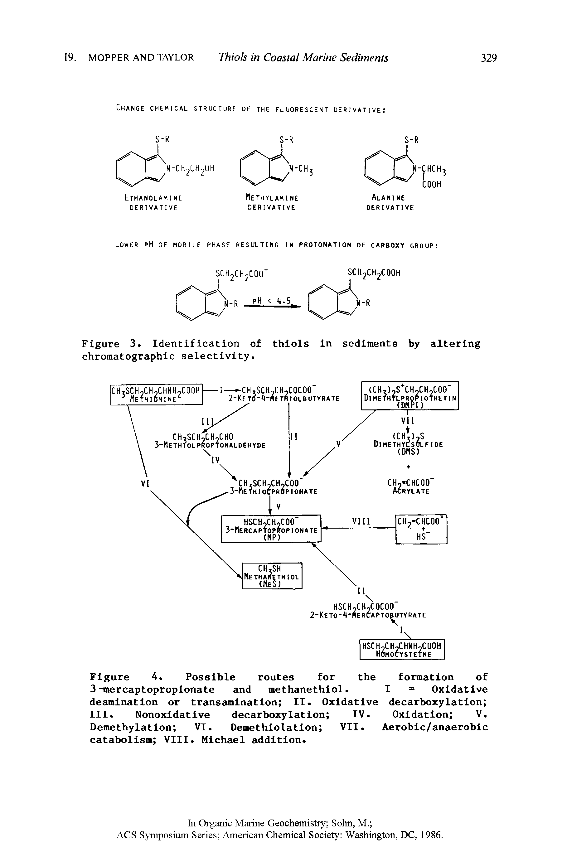 Figure 4. Possible routes for the formation of 3-mercaptoproplonate and methanethlol. I = Oxidative deamination or transamination II. Oxidative decarboxylation III. Nonoxidative decarboxylation IV. Oxidation V. Demethylation VI. Demethlolatlon VII. Aerobic/anaerobic catabolism VIII. Michael addition.