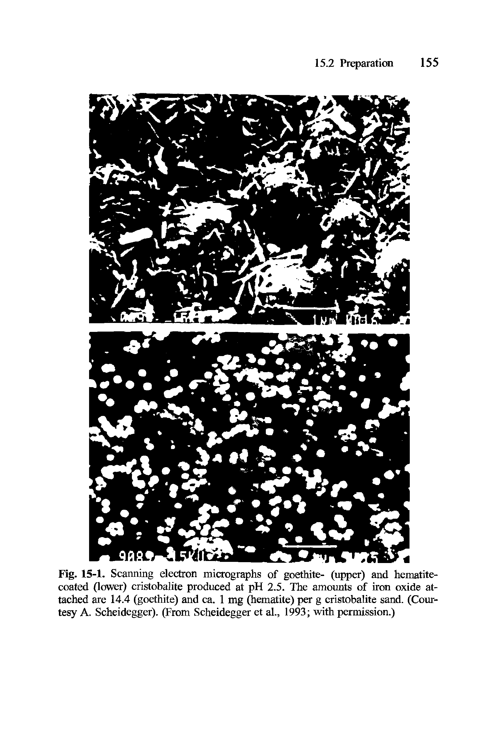 Fig. 15-1. Scanning electron micrographs of goethite- (upper) and hematite-eoated (lower) cristobalite produced at pH 2.5. The amounts of iron oxide at-taehed are 14.4 (goethite) and ca. 1 mg (hematite) per g cristobalite sand. (Courtesy A. Scheidegger). (From Scheidegger et al., 1993 with permission.)...