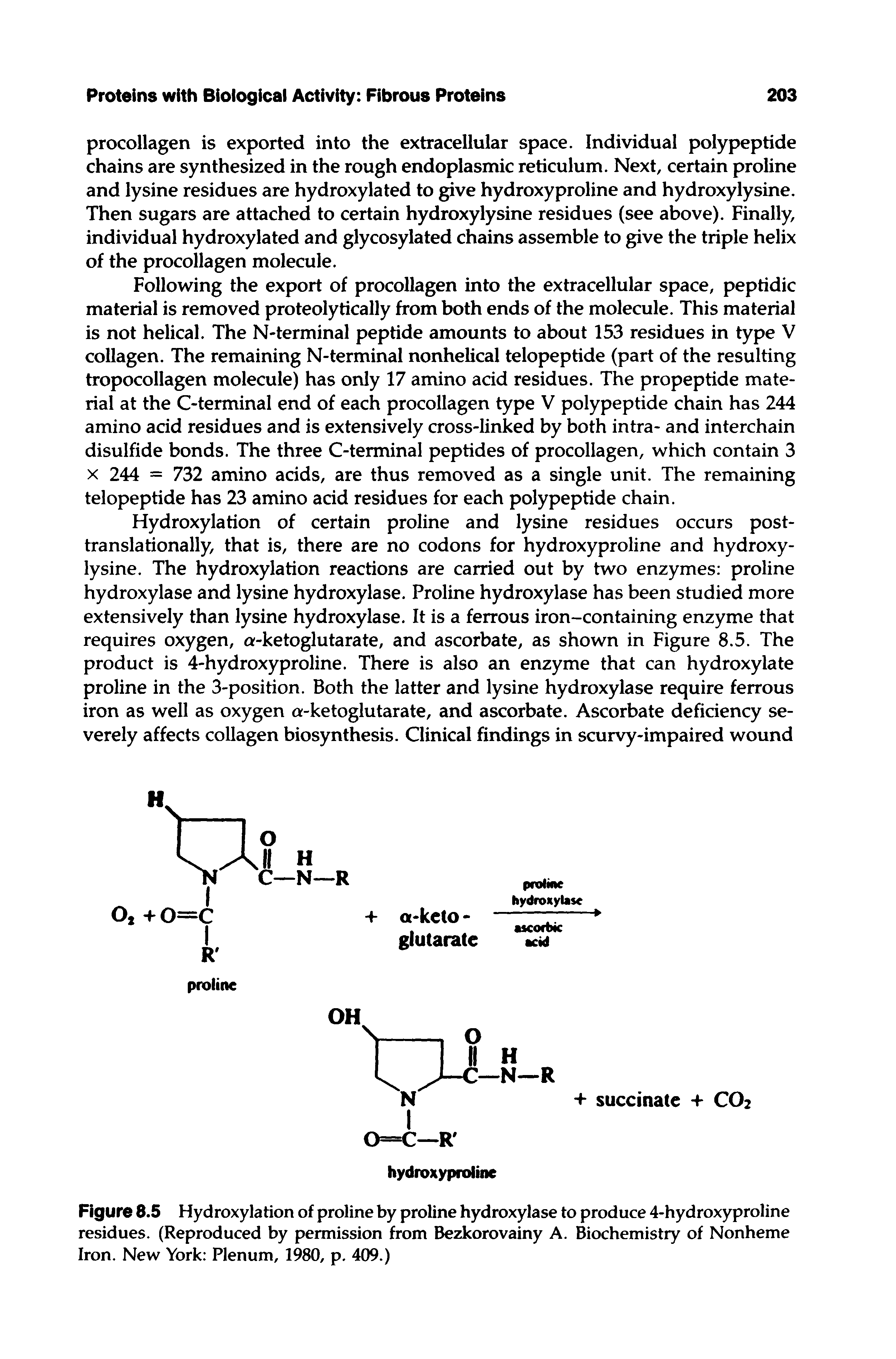 Figure 8.5 Hydroxylation of proline by proline hydroxylase to produce 4-hydroxyproline residues. (Reproduced by permission from Bezkorovainy A. Biochemistry of Nonheme Iron. New York Plenum, 1980, p. 409.)...