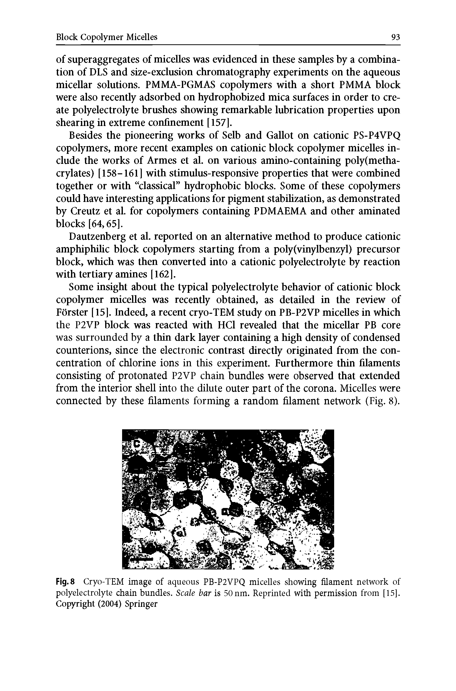 Fig. 8 Cryo-TEM image of aqueous PB-P2VPQ micelles showing filament network of polyelectrolyte chain bundles. Scale bar is 50 nm. Reprinted with permission from [15]. Copyright (2004) Springer...