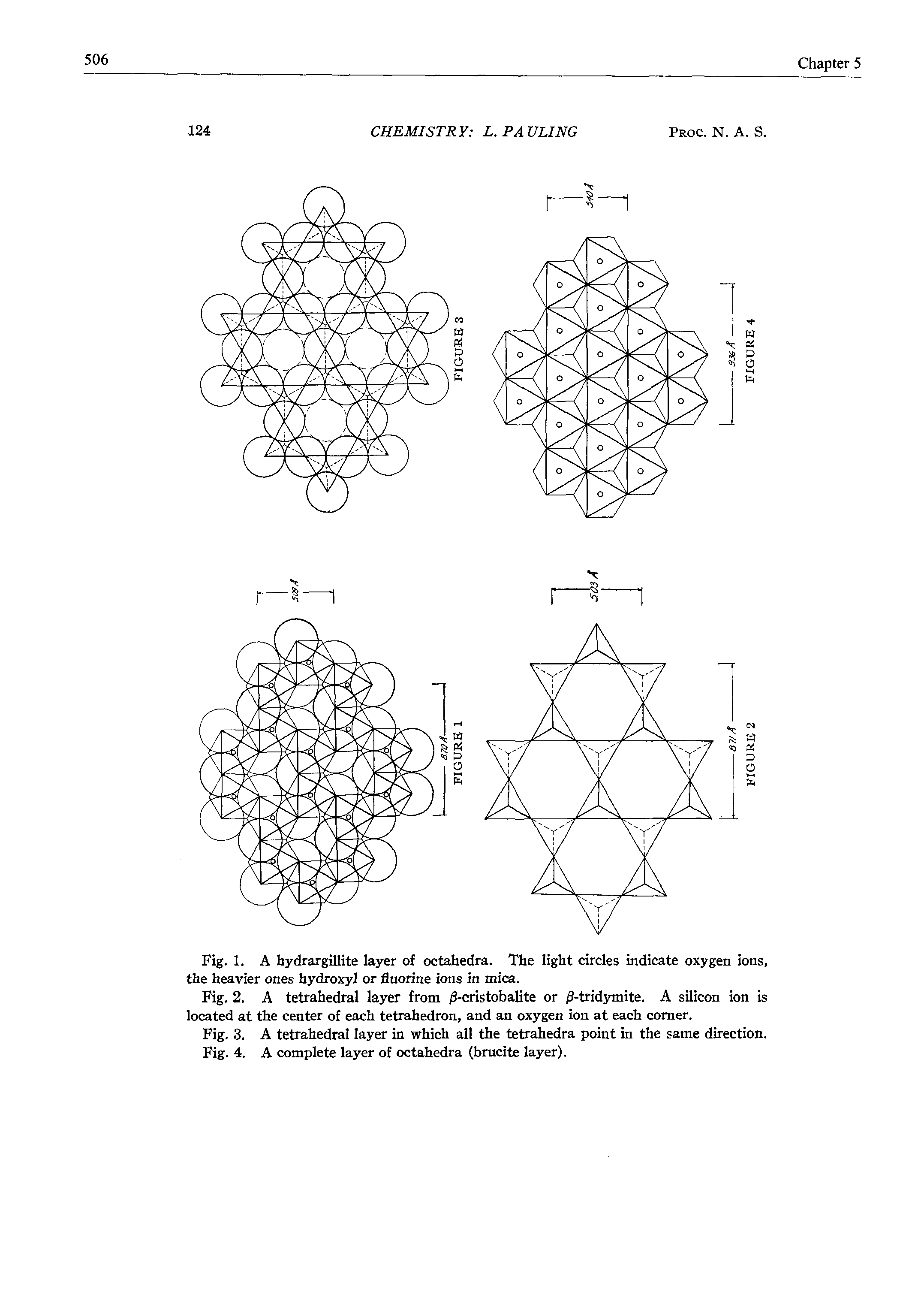Fig. 3. A tetrahedral layer in which all the tetrahedra point in the same direction. Fig. 4. A complete layer of octahedra (brucite layer).