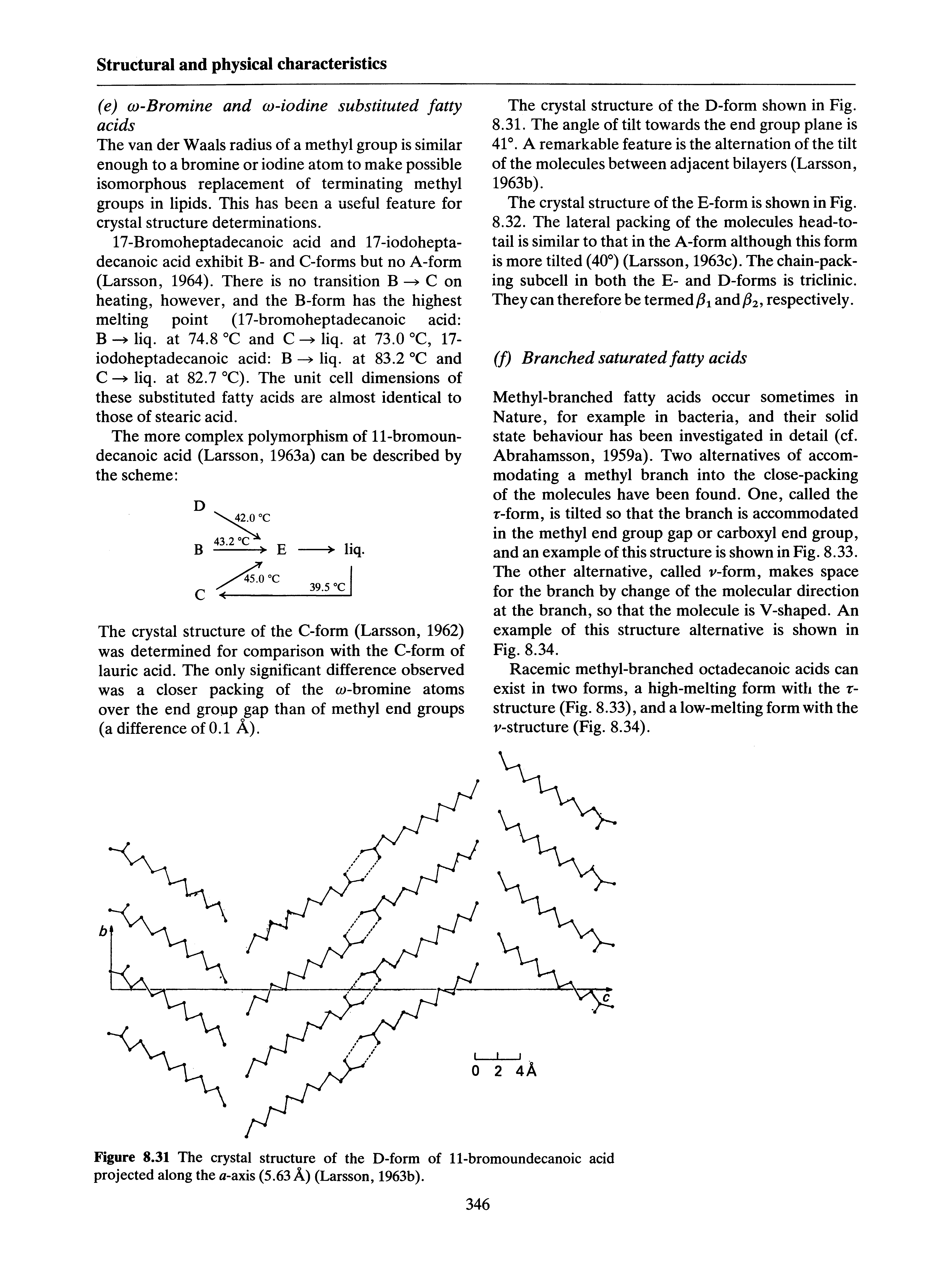 Figure 8.31 The crystal structure of the D-form of 11-bromoundecanoic acid projected along the a-axis (5.63 A) (Larsson, 1963b).