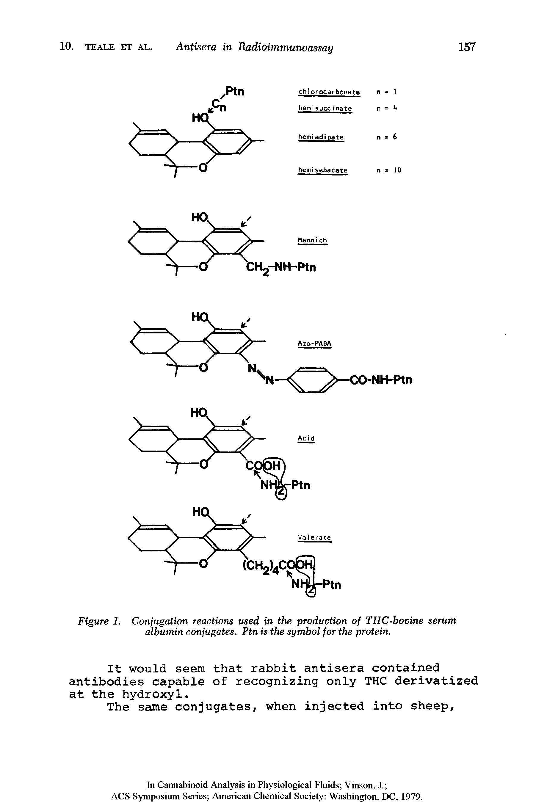 Figure 1. Conjugation reactions used in the production of THC-bovine serum albumin conjugates. Ptn is the symbol for the protein.