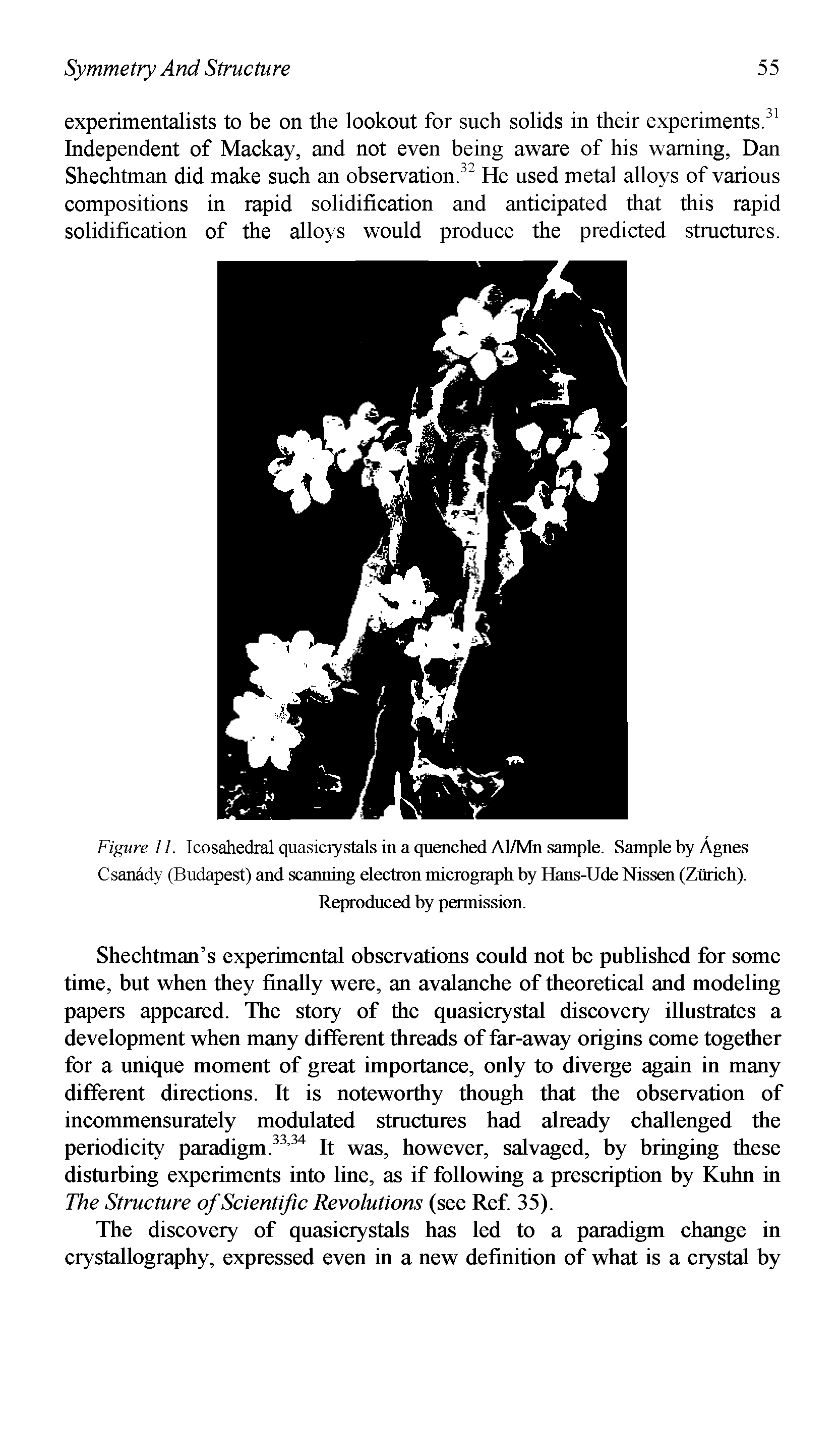 Figure 11. Icosahedral quasicrystals in a quenched Al/Mn sample. Sample by Agnes Csanady (Budapest) and scanning electron micrograph by Hans-Ude Nissen (Zurich). Reproduced by permission.