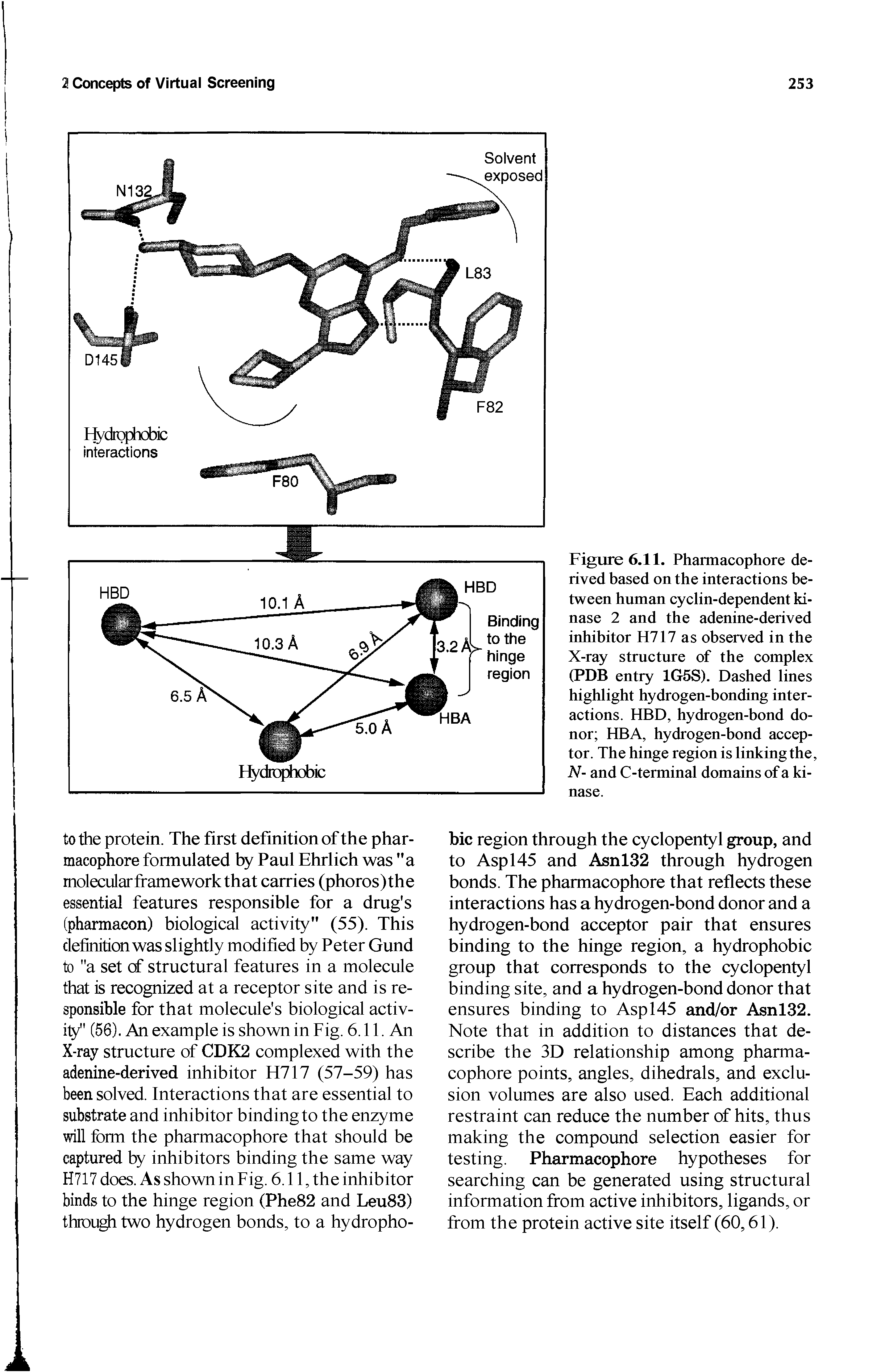 Figure 6.11. Pharmacophore derived based on the interactions between human cyclin-dependent kinase 2 and the adenine-derived inhibitor H717 as observed in the X-ray structure of the complex (PDB entry 1G5S). Dashed lines highlight hydrogen-bonding interactions. HBD, hydrogen-bond donor HBA, hydrogen-bond acceptor. The hinge region is linking the, N- and C-terminal domains of a kinase.