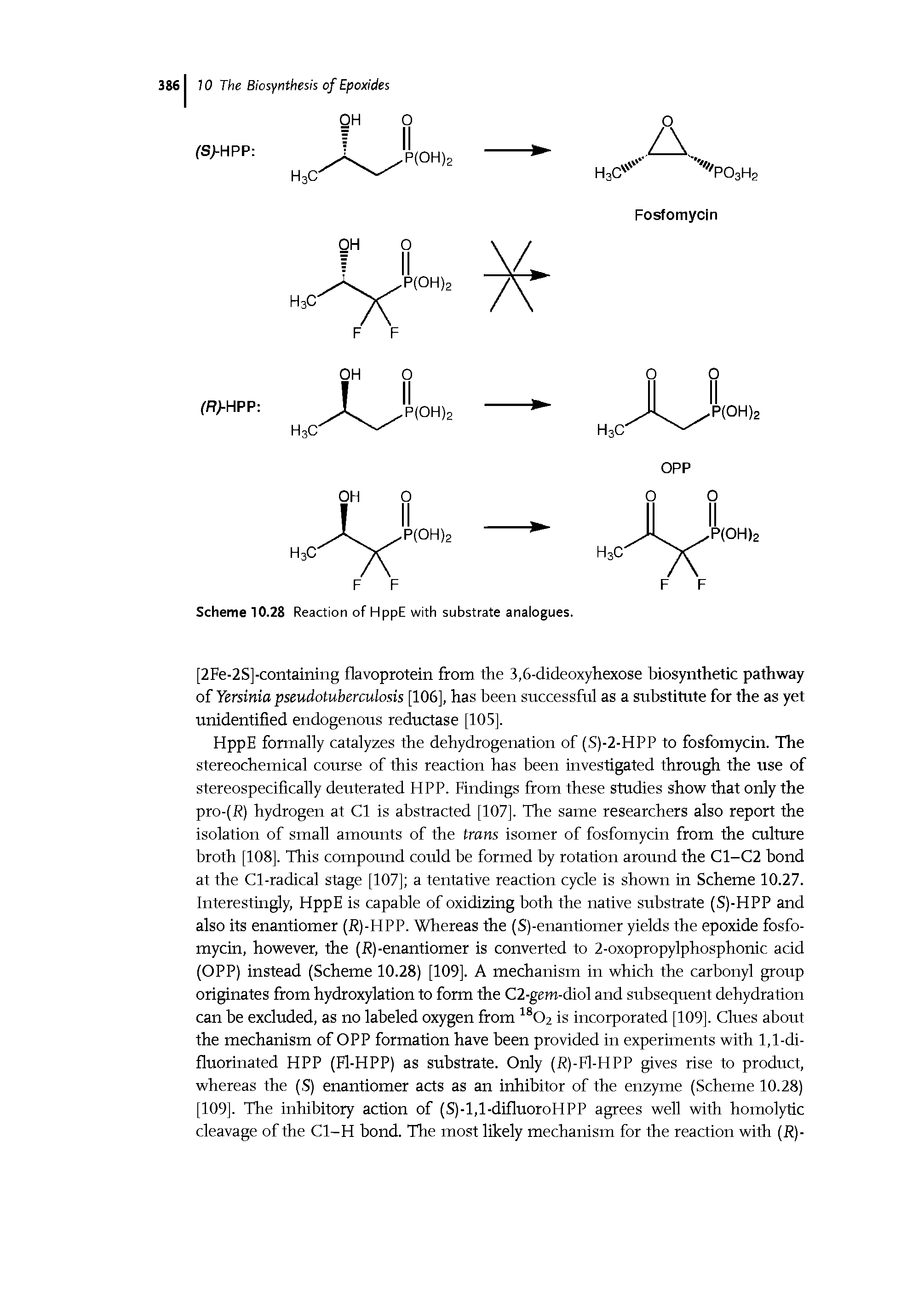 Scheme 10.28 Reaction of HppE with substrate analogues.