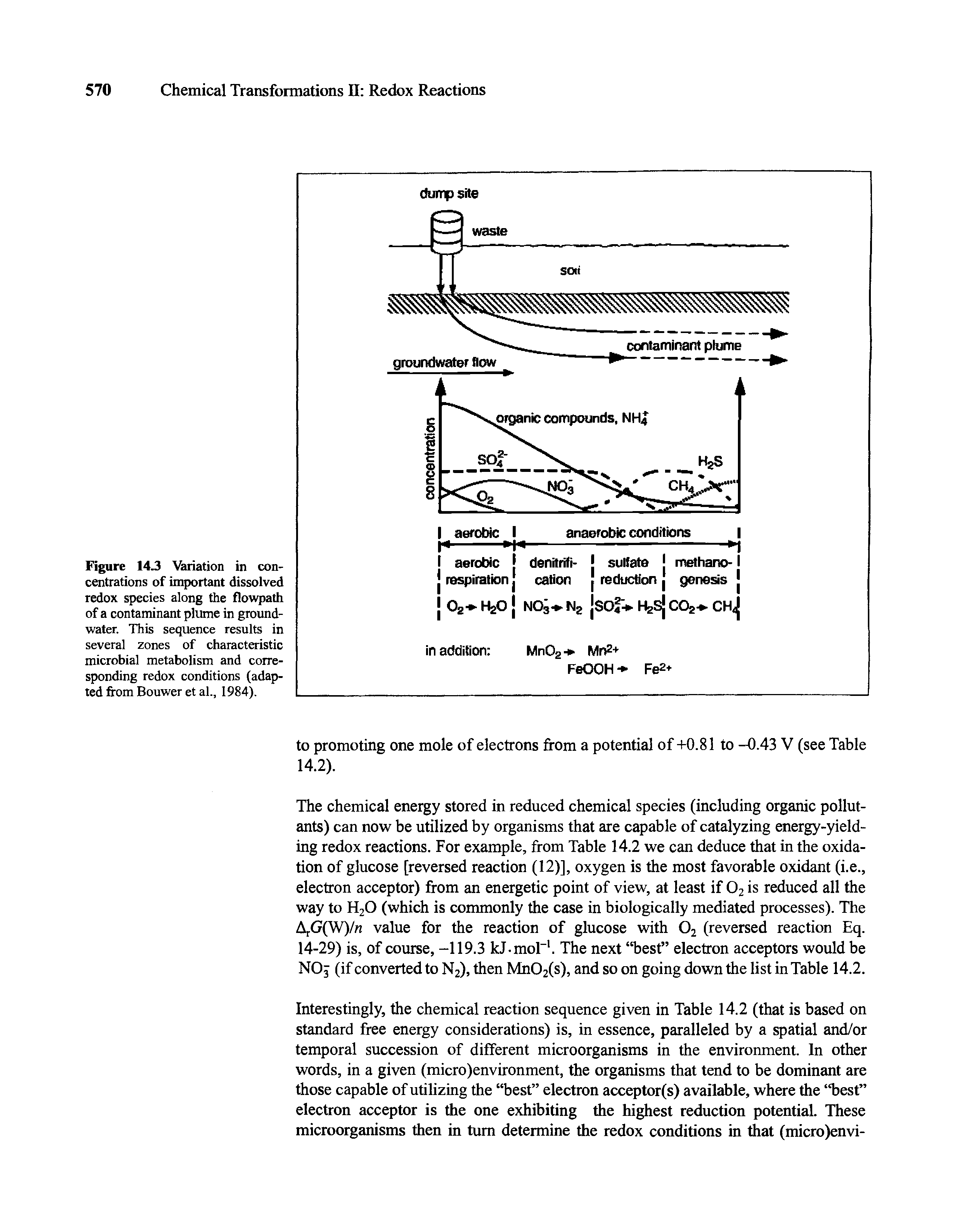 Figure 14.3 Variation in concentrations of important dissolved redox species along the flowpath of a contaminant plume in ground-water. This sequence results in several zones of characteristic microbial metabolism and corresponding redox conditions (adapted from Bouwer et al., 1984).