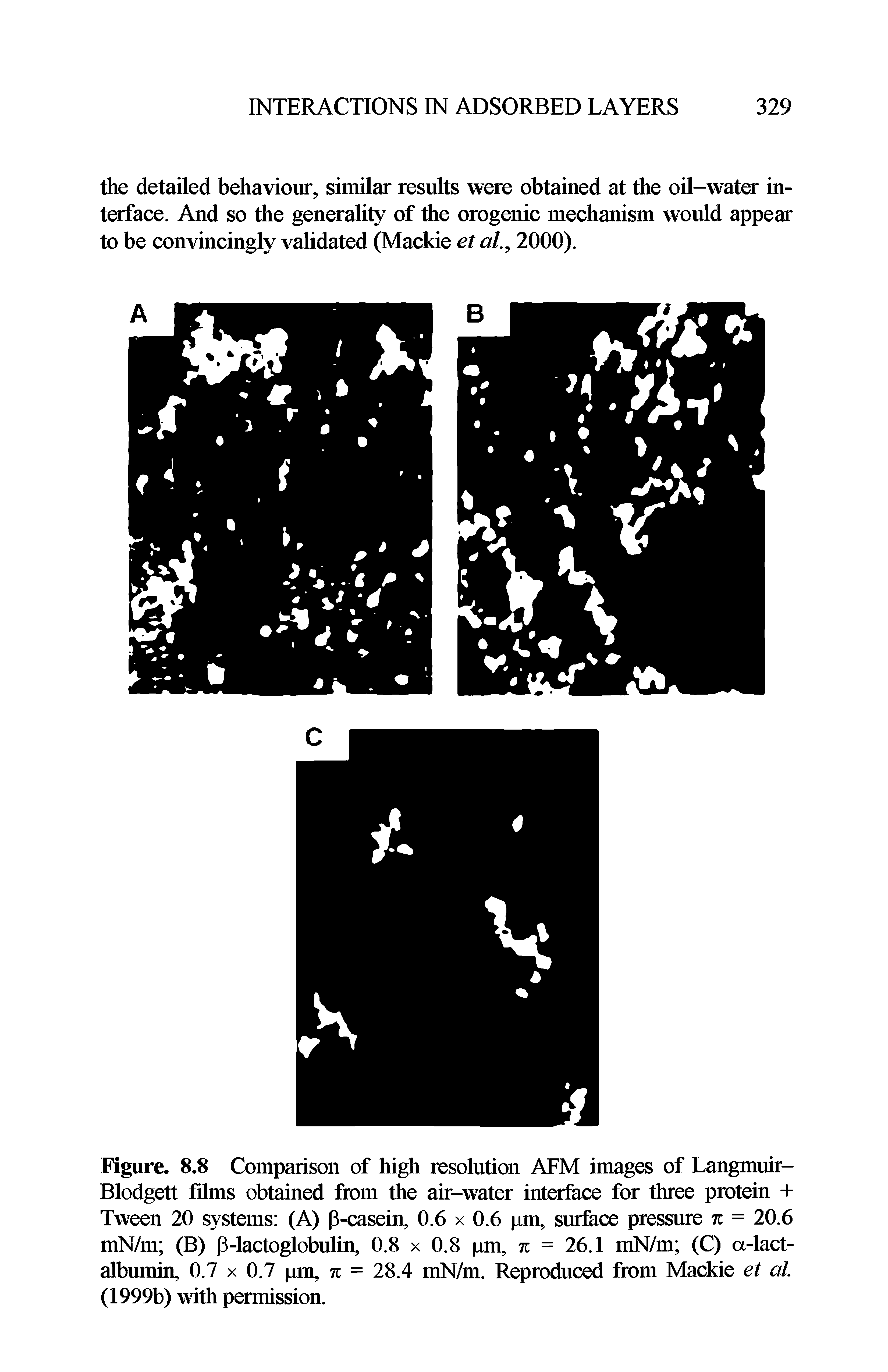 Figure. 8.8 Comparison of high resolution AFM images of Langmuir-Blodgett films obtained from the air-water interface for three protein + Tween 20 systems (A) p-casein, 0.6 x 0.6 pm, surface pressure % = 20.6 mN/m (B) p-lactoglobulin, 0.8 x 0.8 pm, % = 26.1 mN/m (C) a-lact-albumin, 0.7 x 0.7 pm, % = 28.4 mN/m. Reproduced from Mackie et al (1999b) with permission.